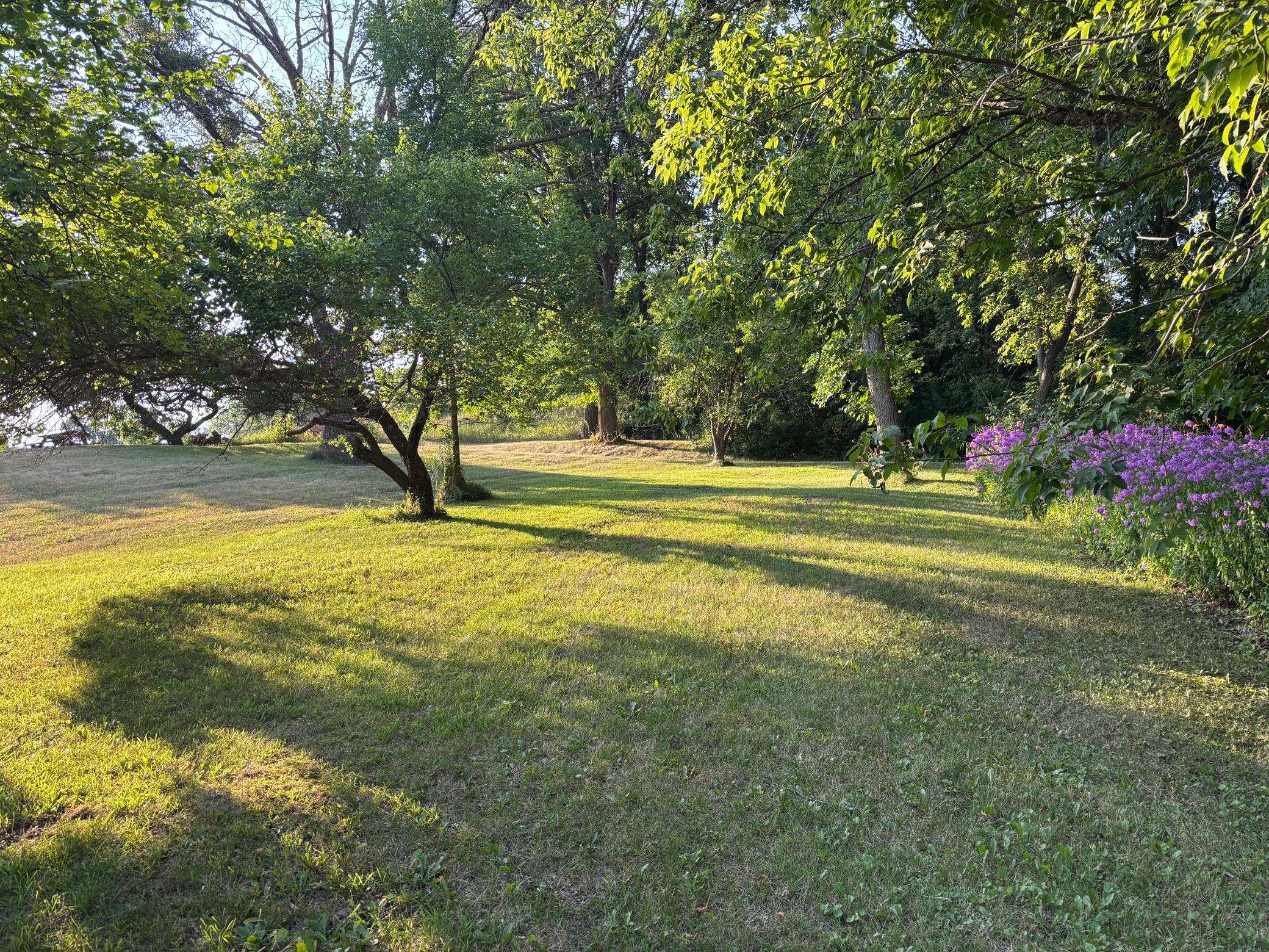 61689 Leaf River Road Property Photo 45