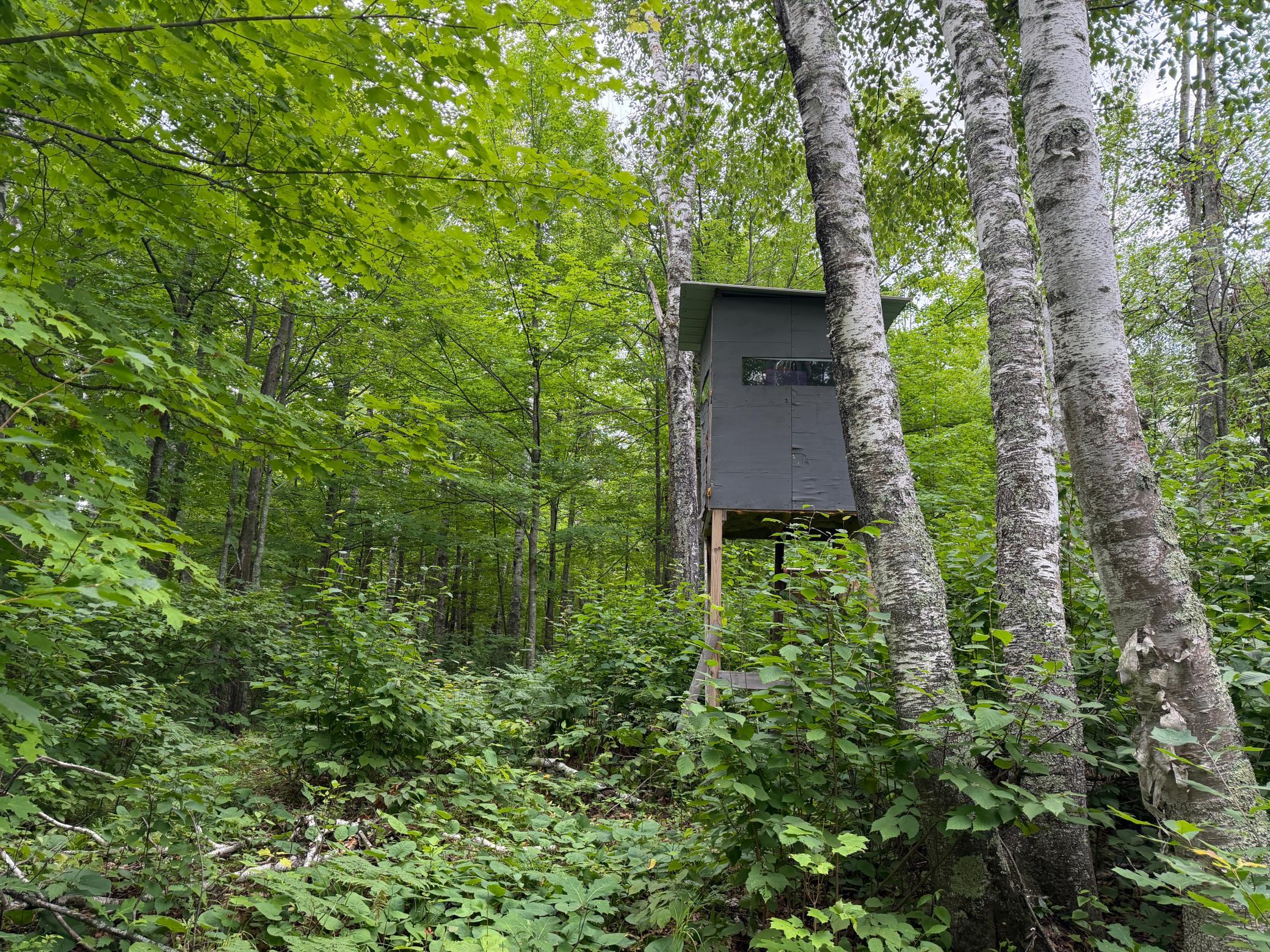 Tbd Shady Pine Road Property Photo 1