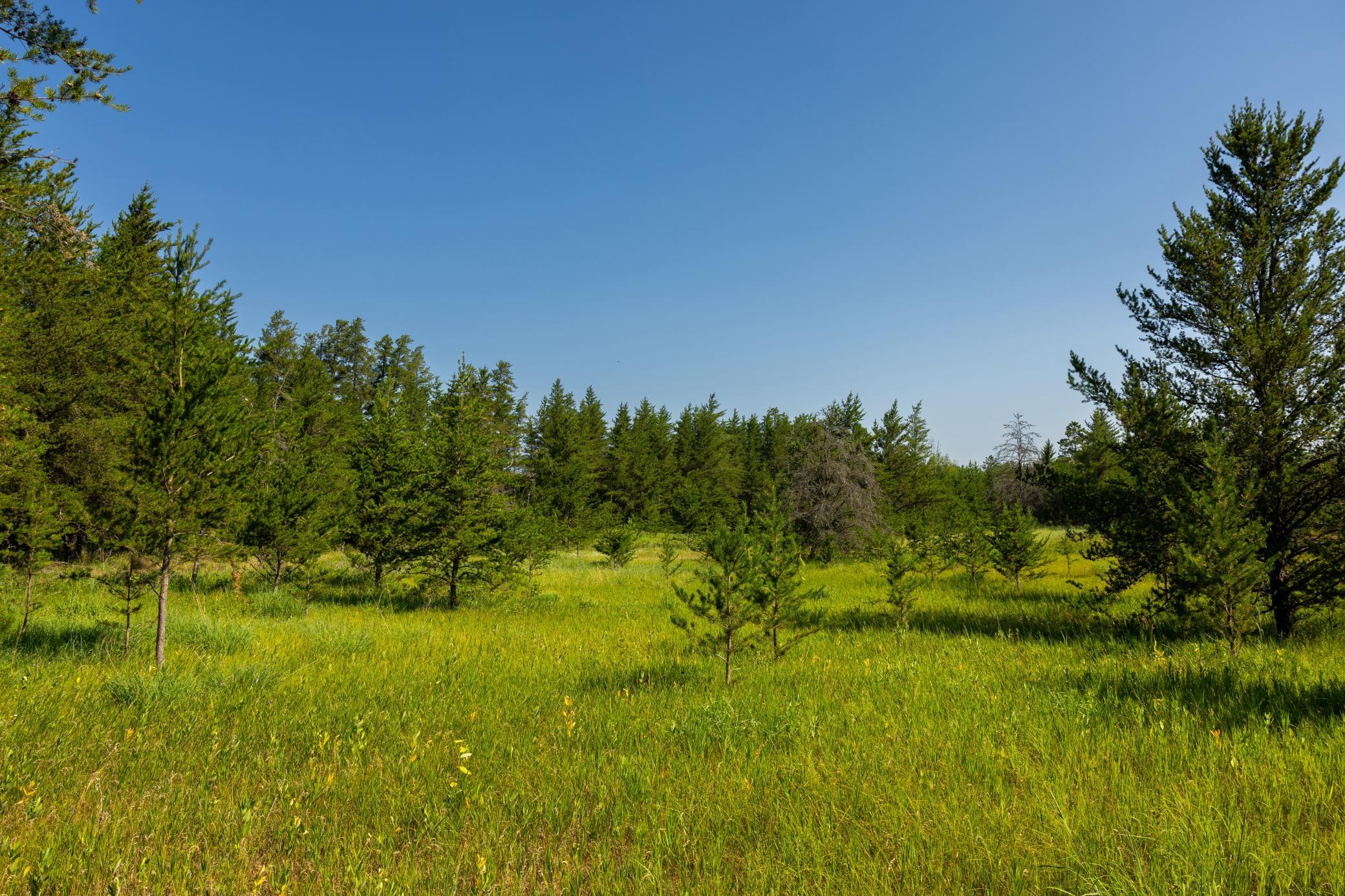 Tract 2 - 39794 259th Ave Property Photo 28