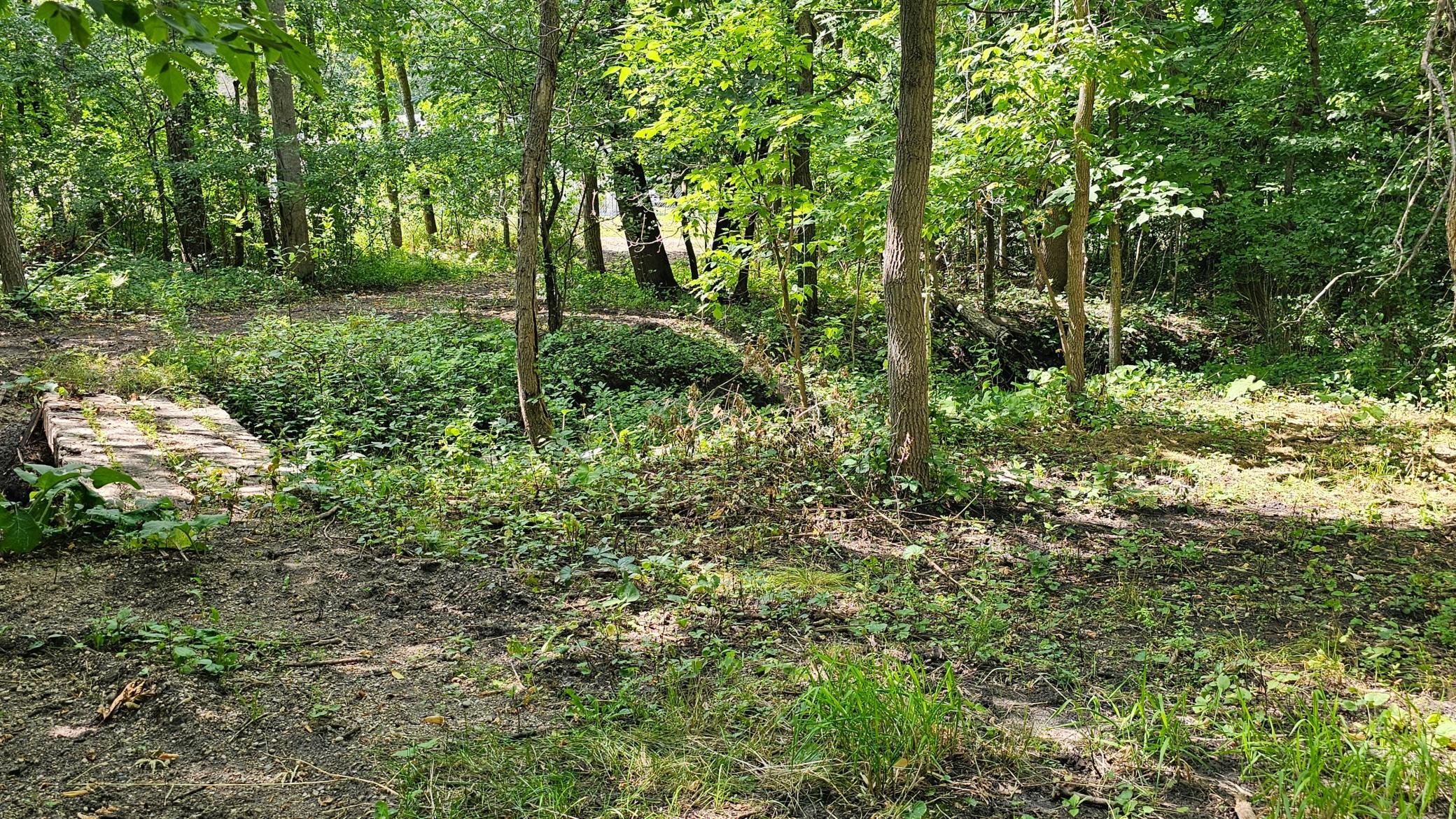 460 Ash Street Property Photo 55