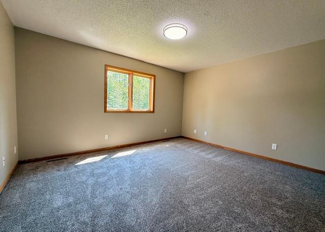 50539 229th Avenue Property Photo 16