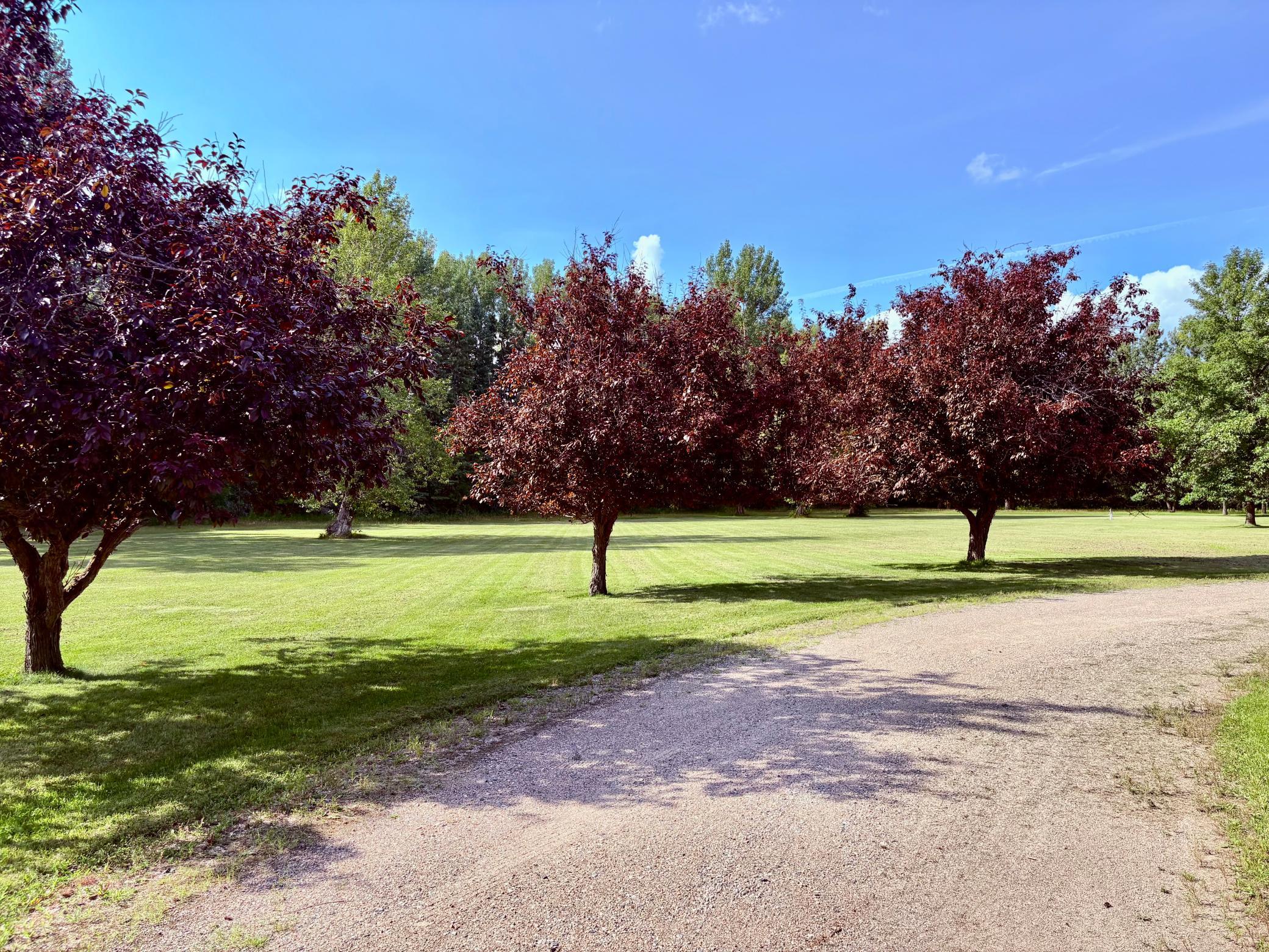 59366 330th Street Property Photo 5