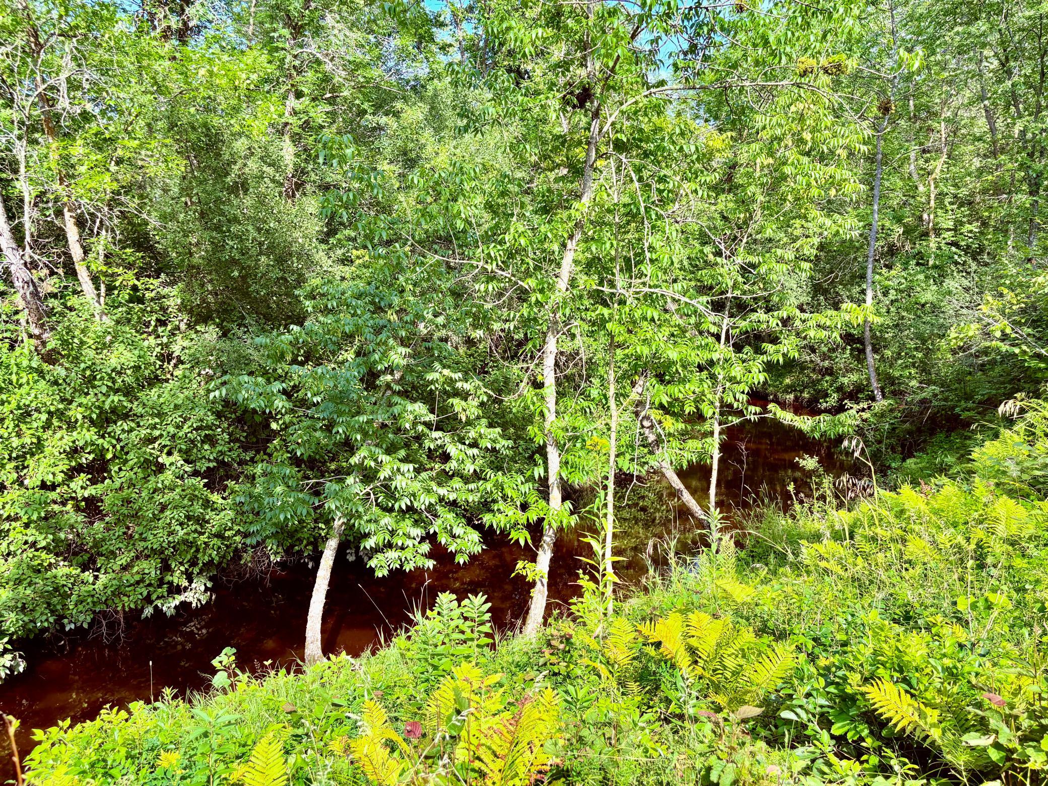 59366 330th Street Property Photo 104