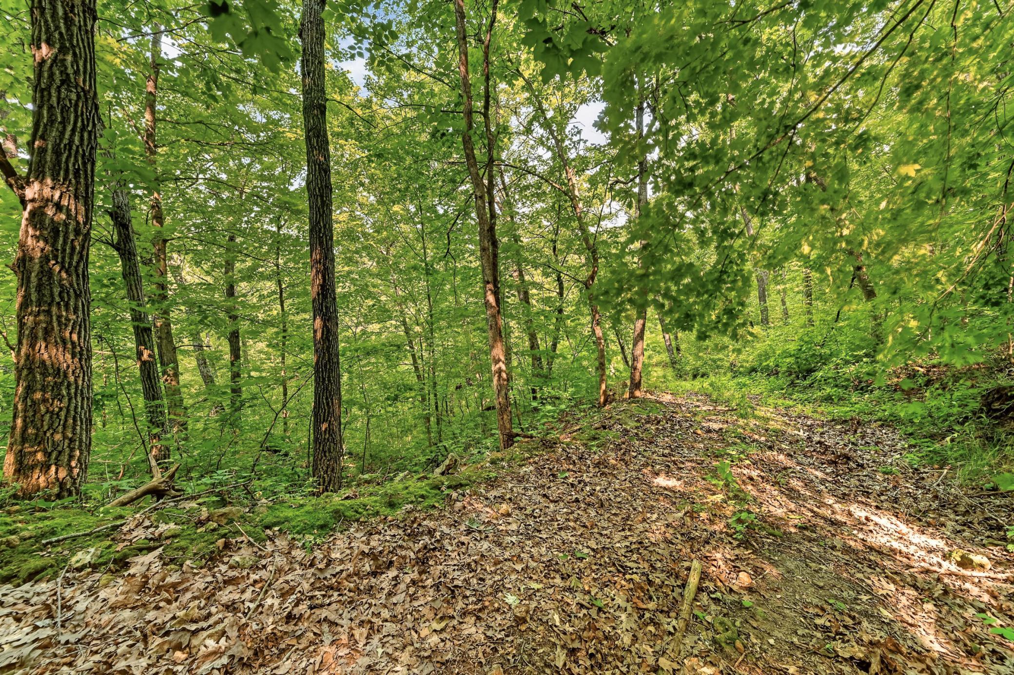 27714 County 25 S Property Photo 53