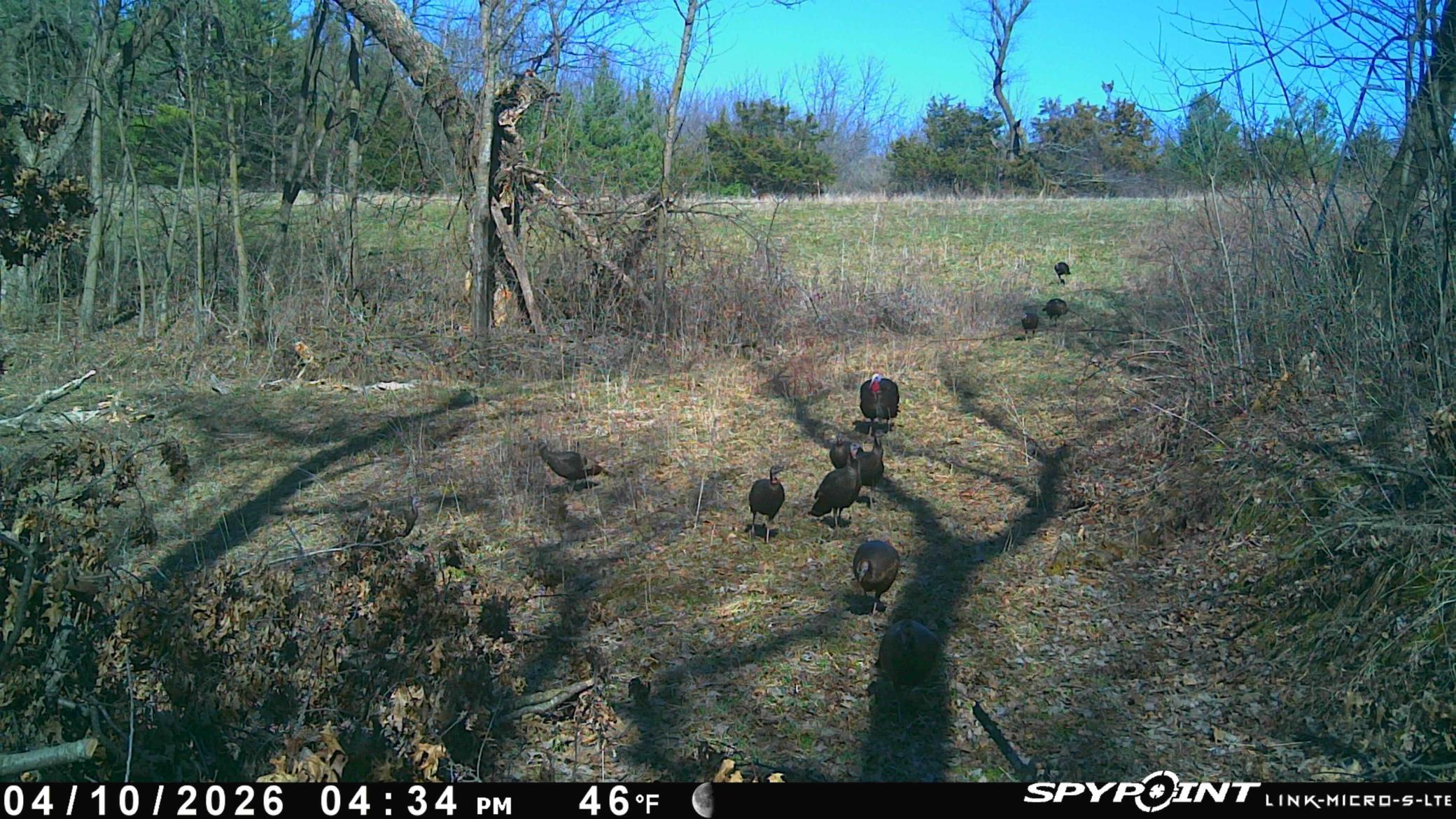 27714 County 25 S Property Photo 62