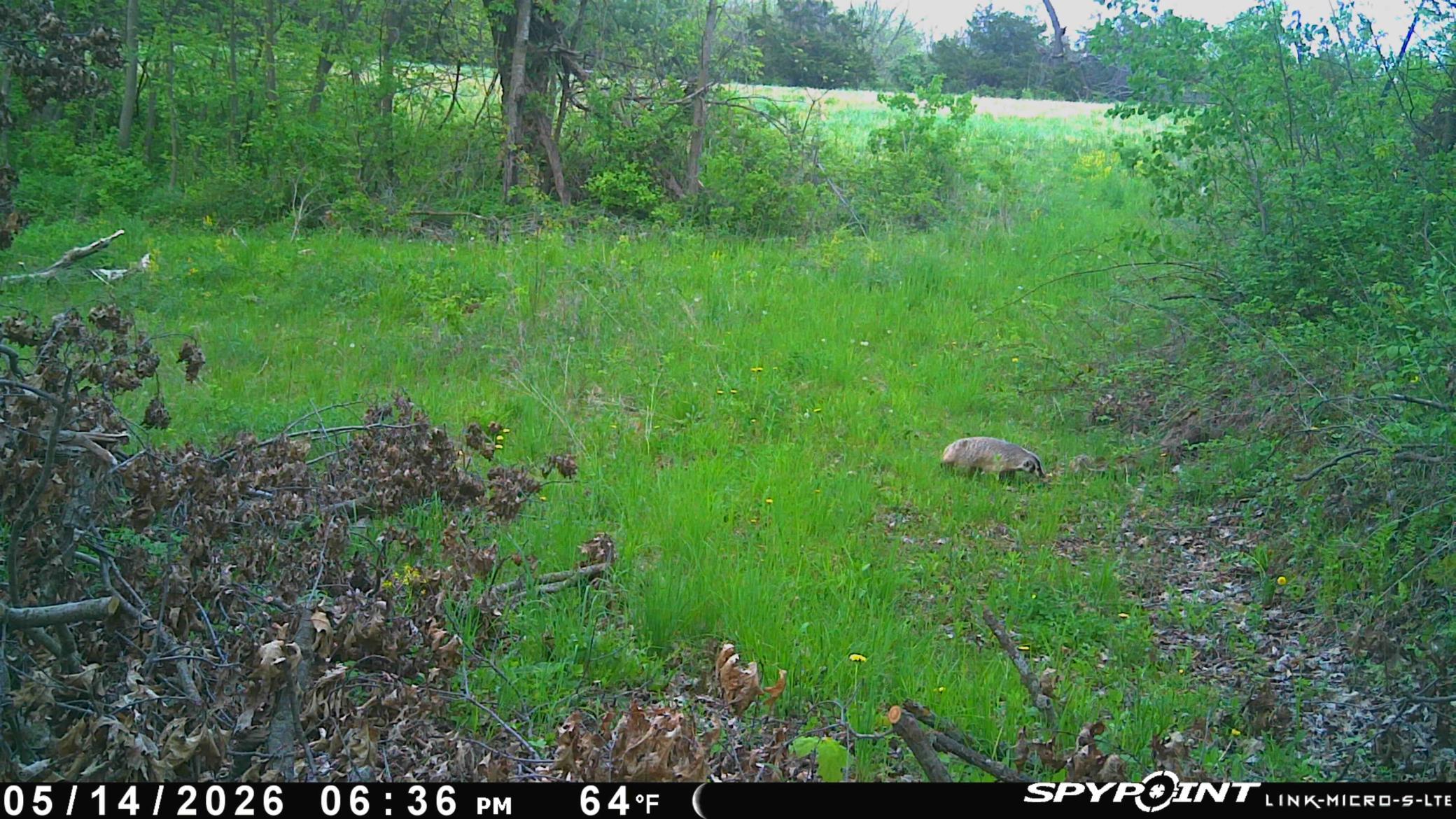 27714 County 25 S Property Photo 63