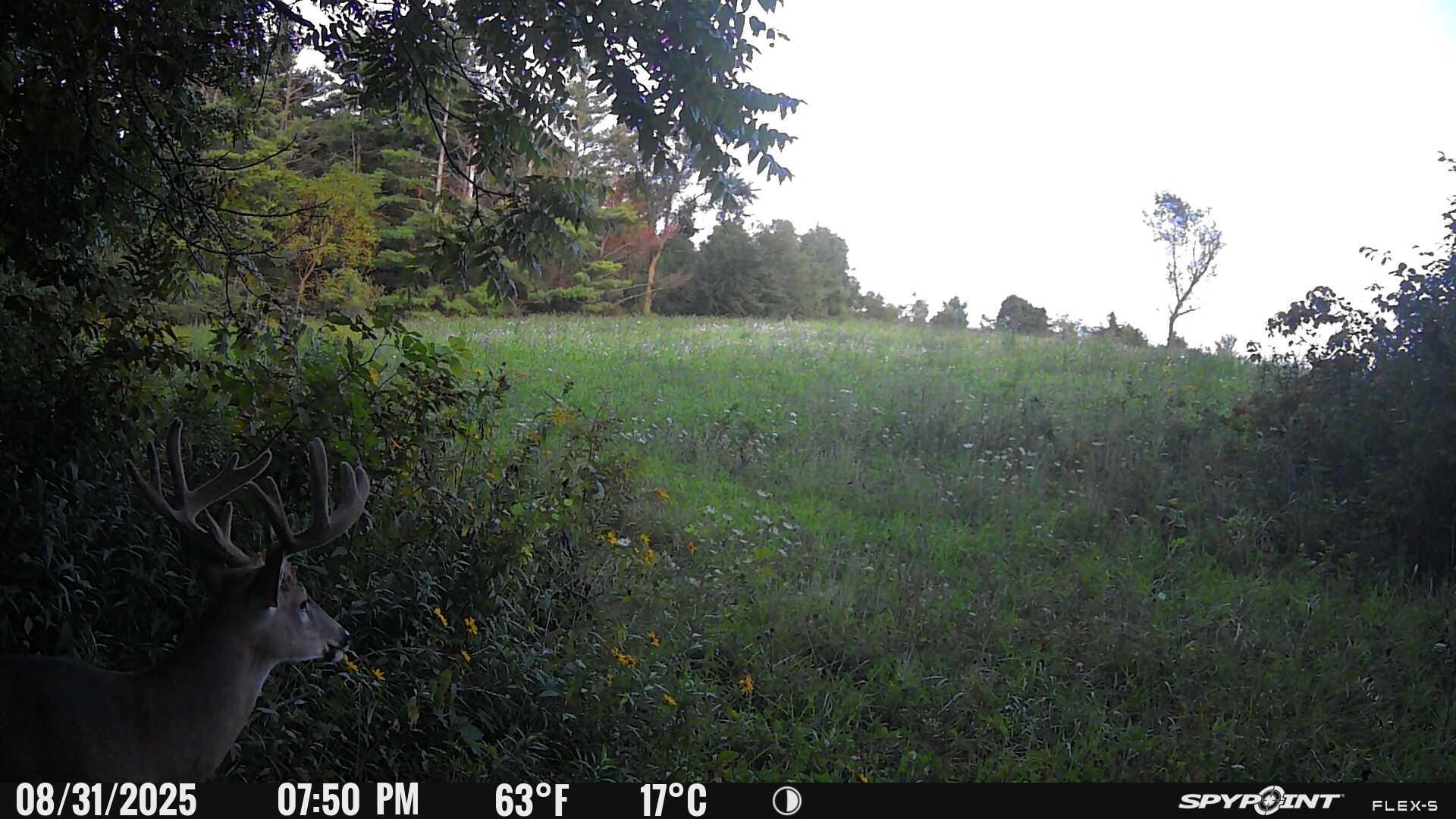 27714 County 25 S Property Photo 68