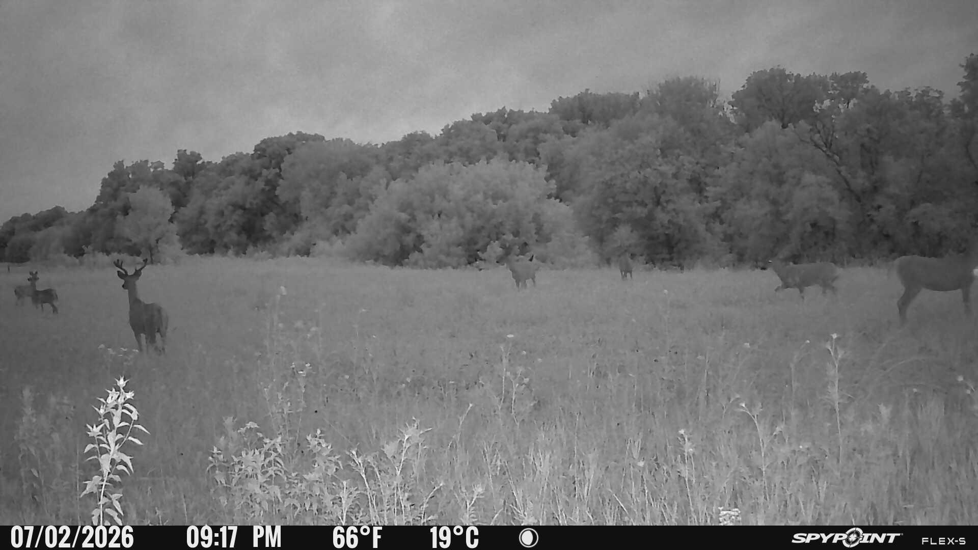 27714 County 25 S Property Photo 81