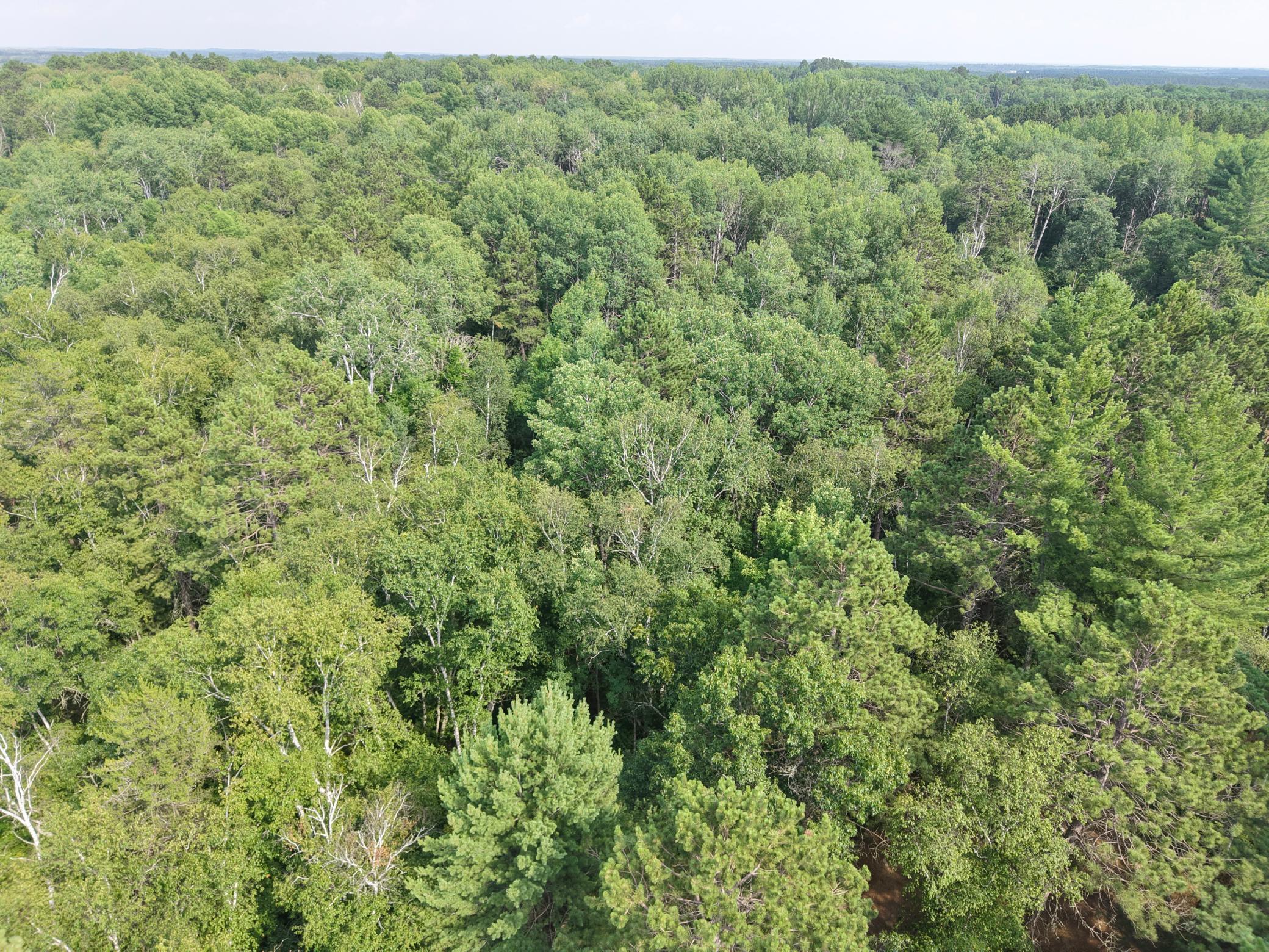 22034 County 2 Property Photo 34