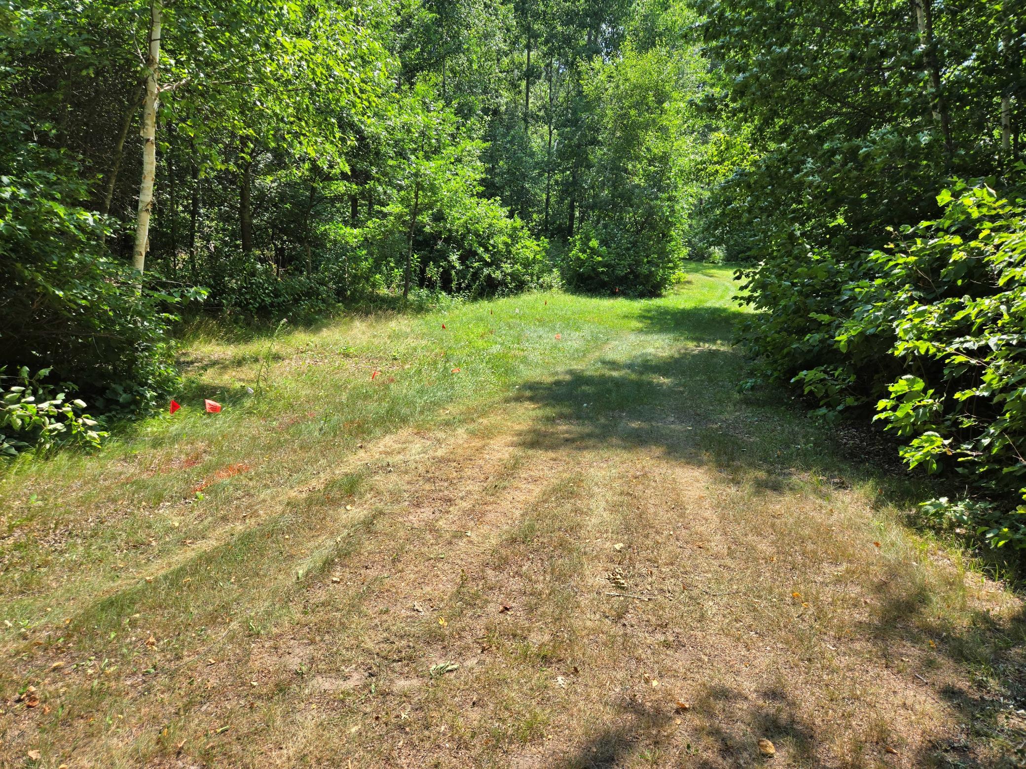 18321 E Ham Lake Drive Property Photo 8