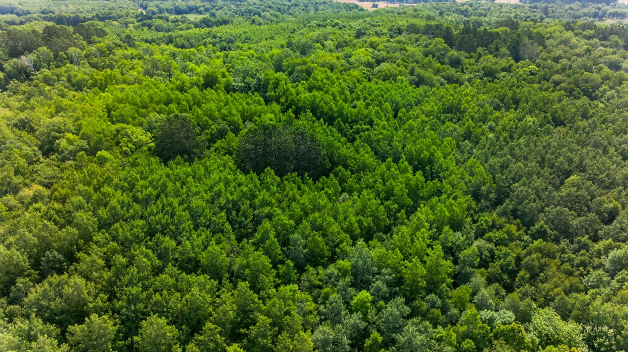 21169 Firefly Trail Property Photo 37