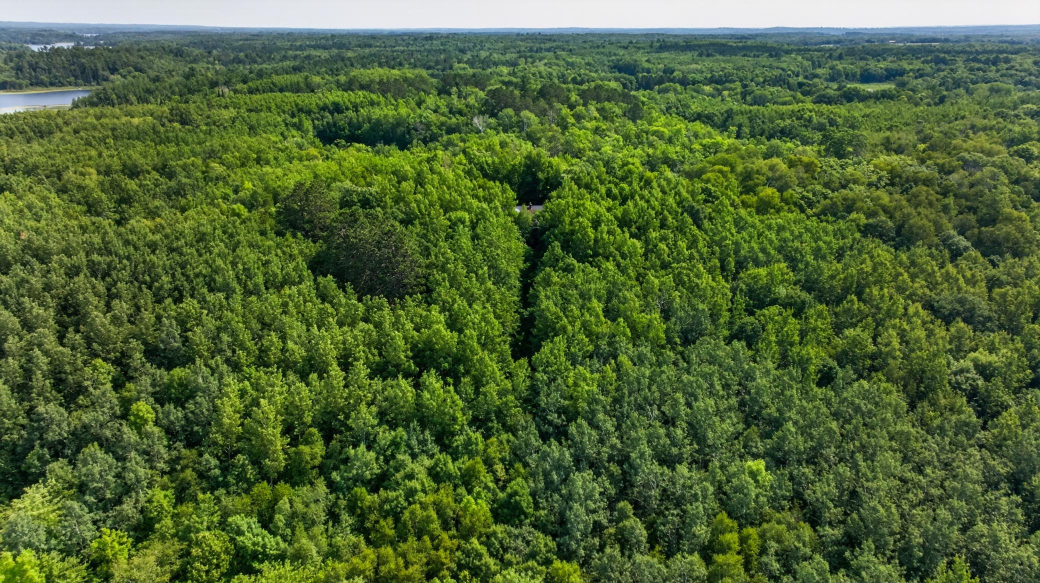 21169 Firefly Trail Property Photo 38