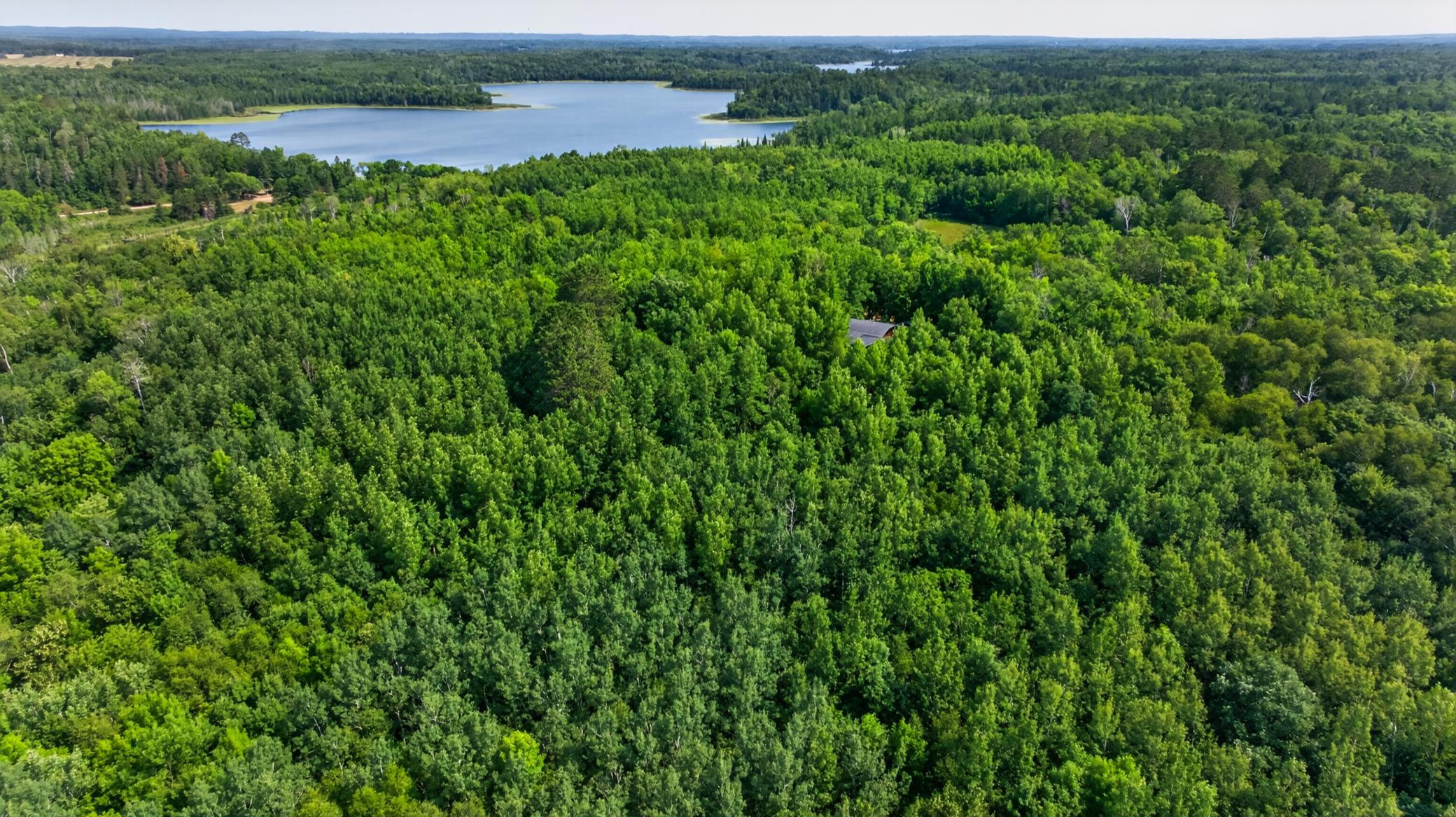 21169 Firefly Trail Property Photo 39