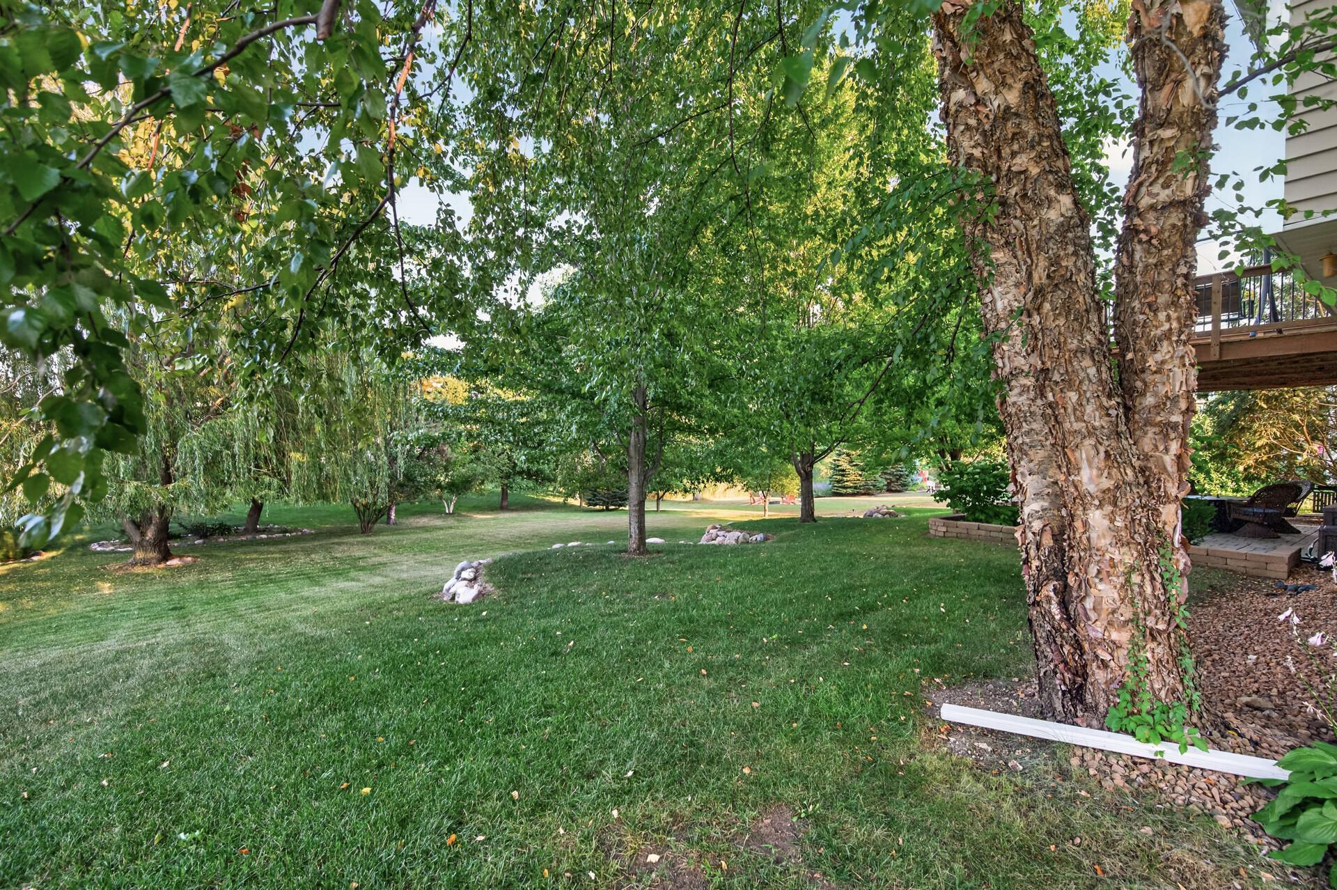 1233 Irvine Drive Property Photo 49