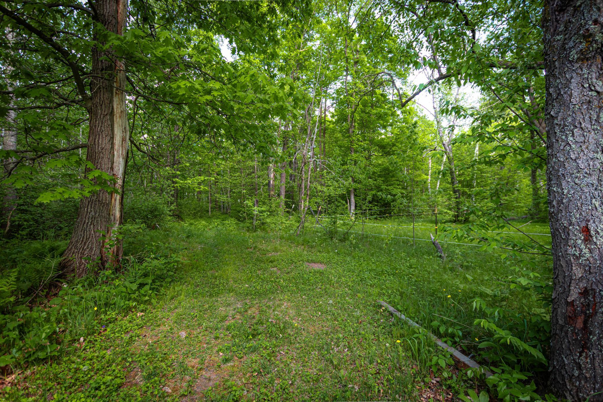 43522 Us 71 Property Photo 44