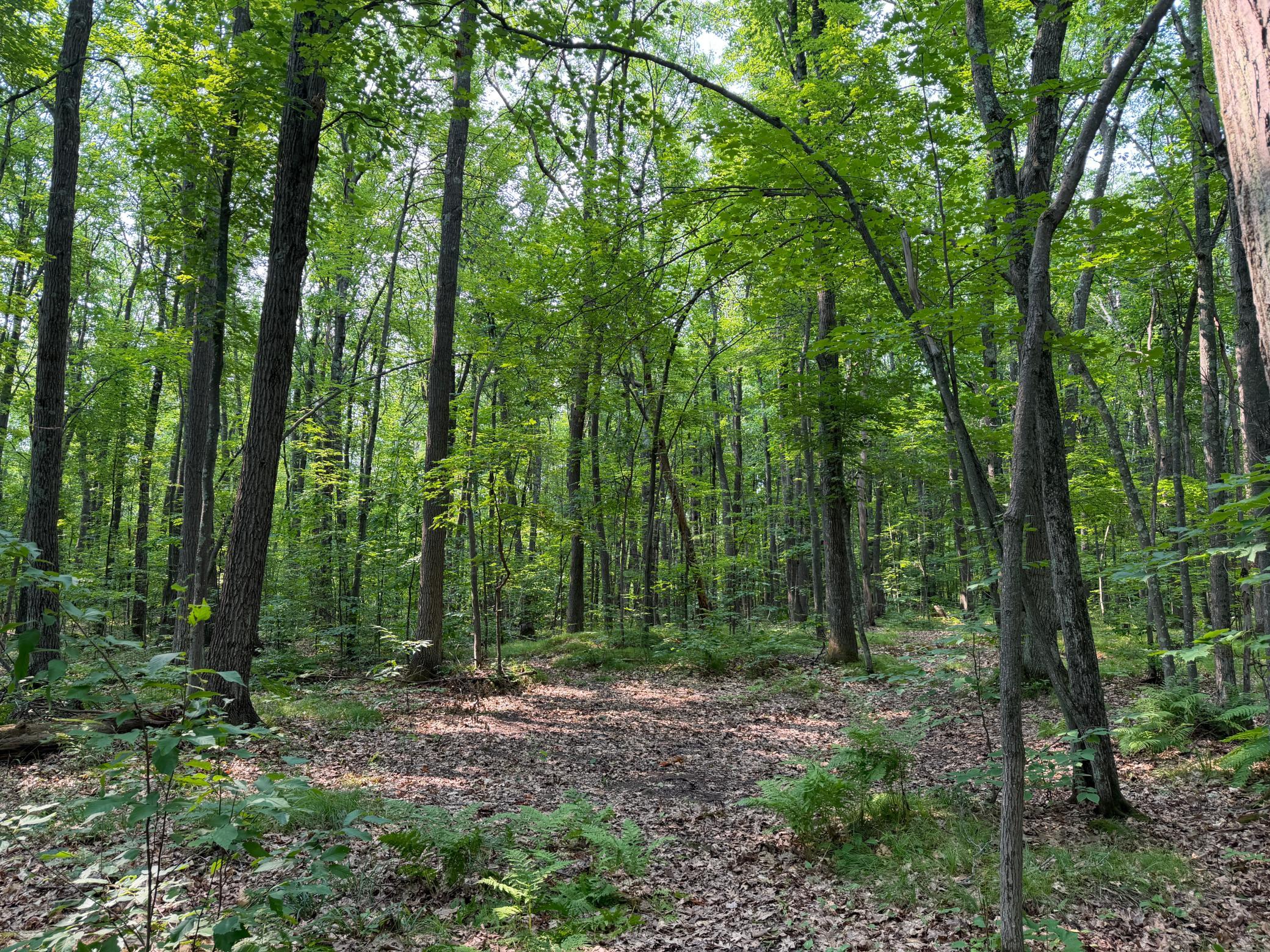 50738 Sand Creek Road Property Photo 20