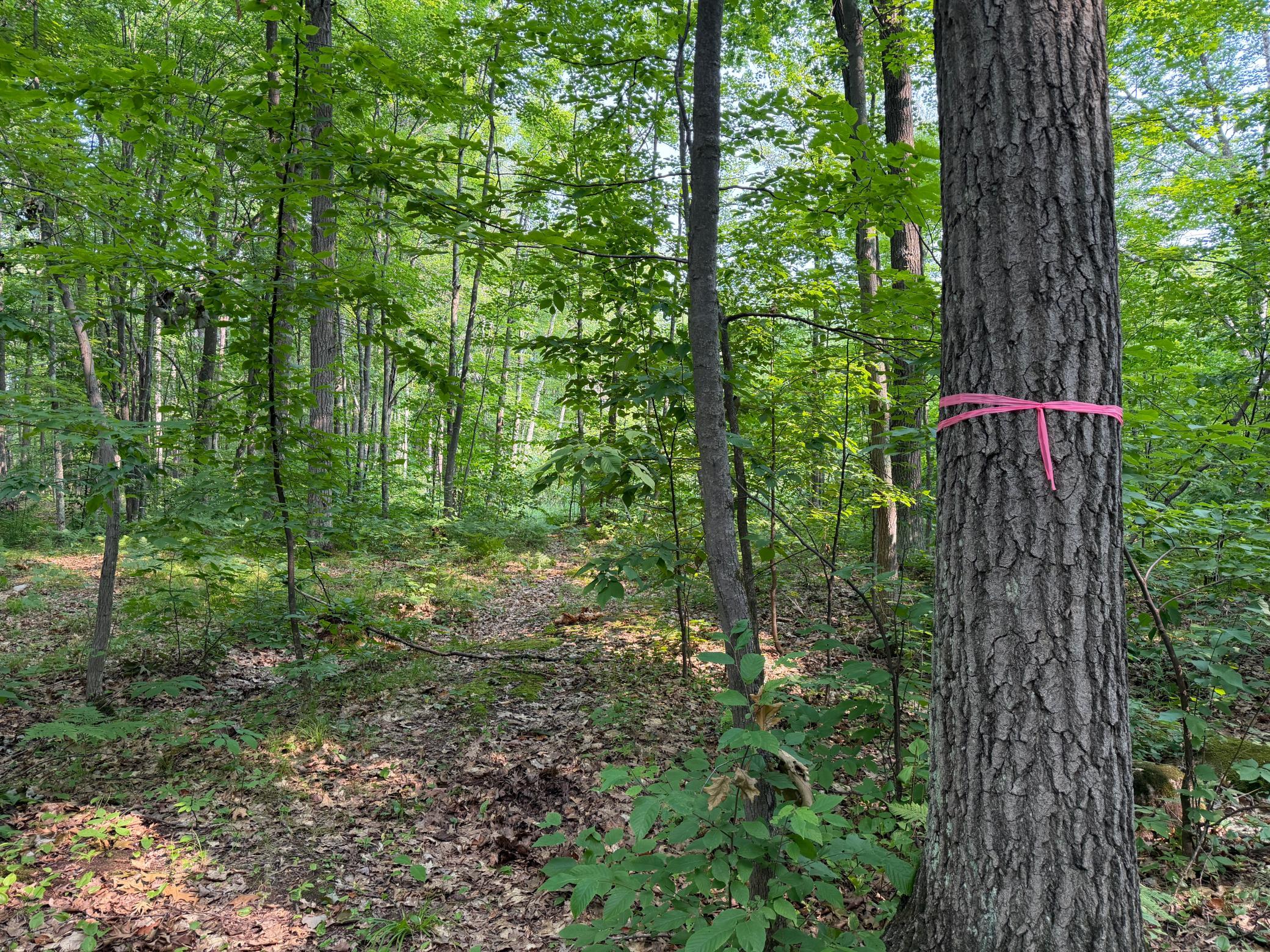50738 Sand Creek Road Property Photo 21