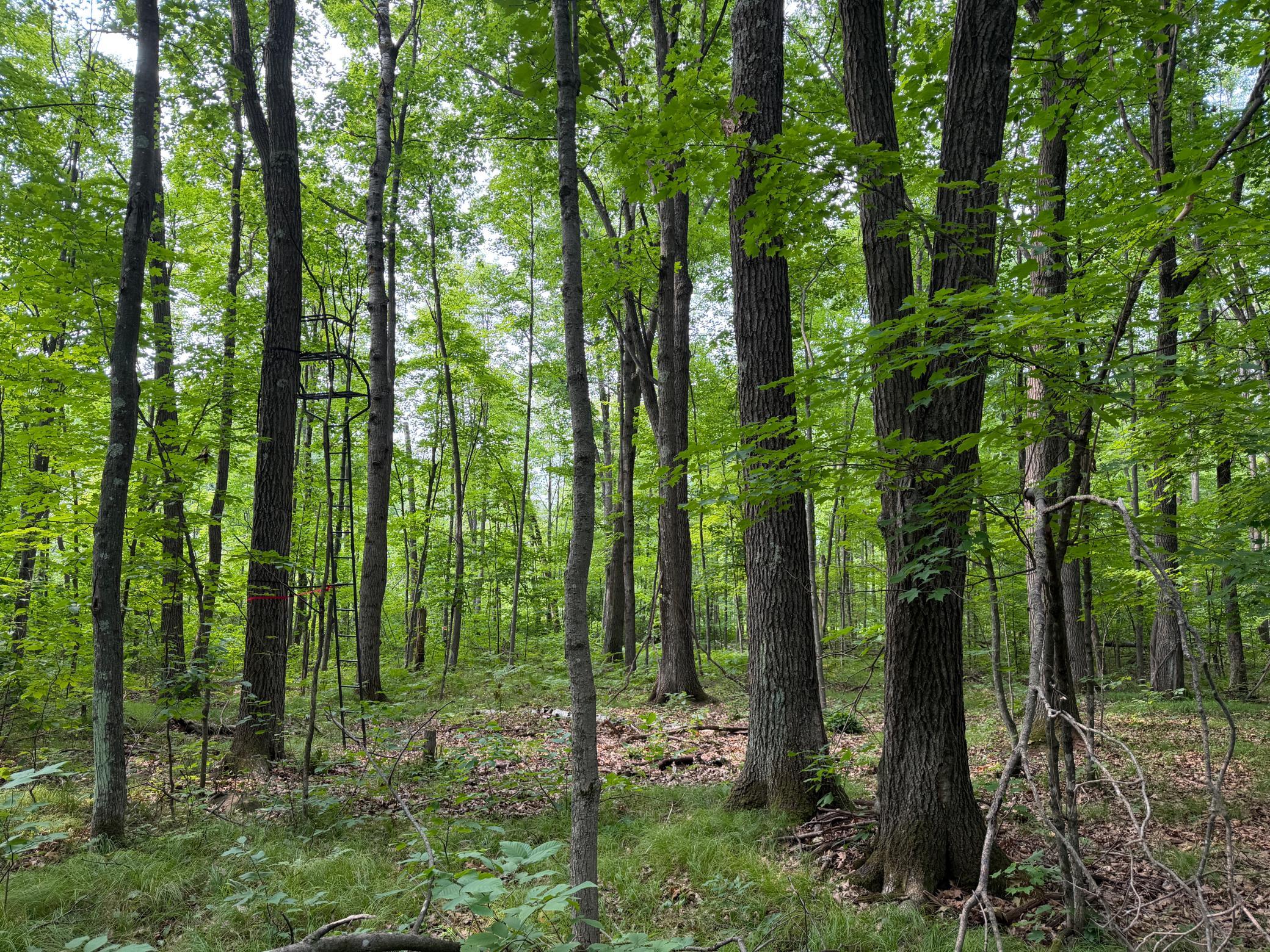 50738 Sand Creek Road Property Photo 22