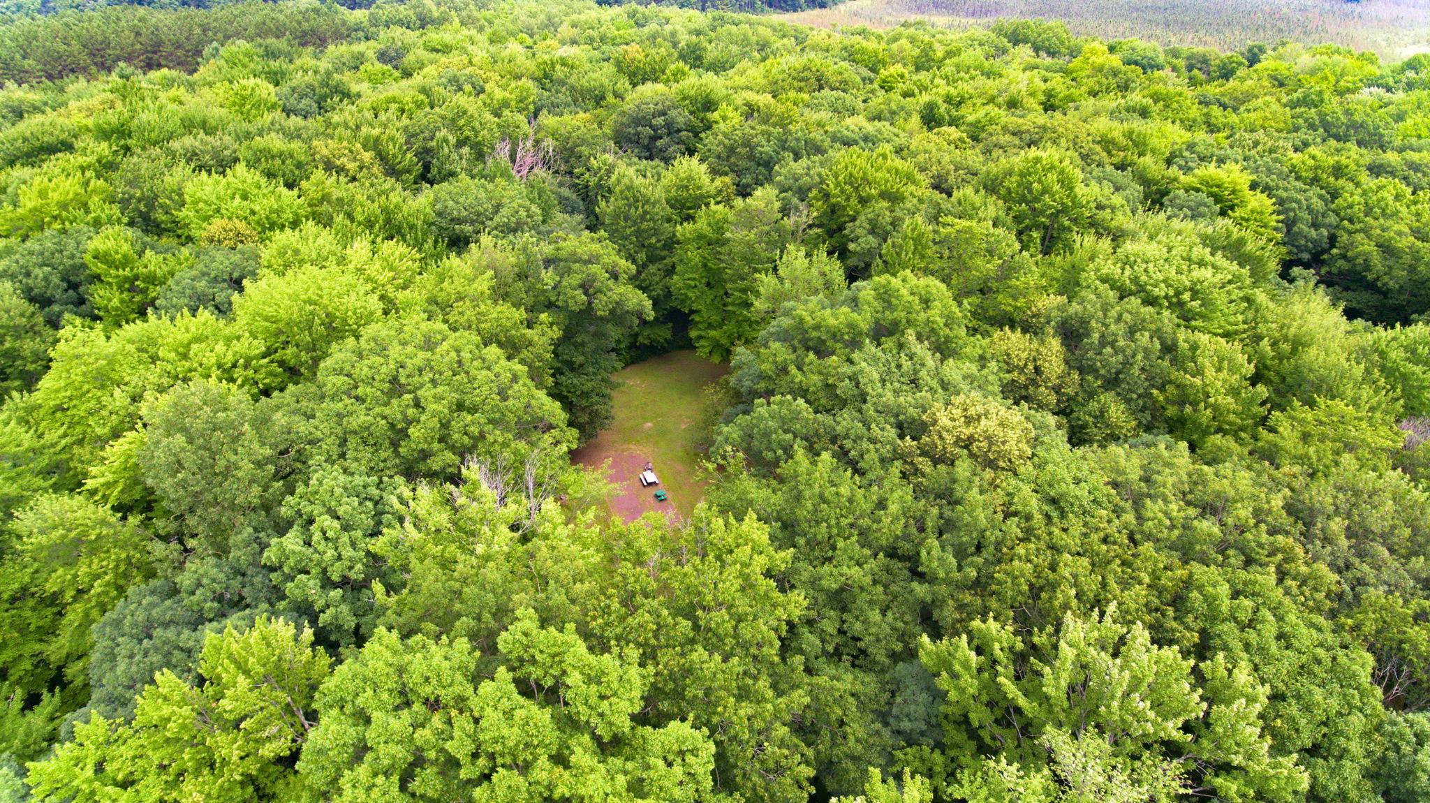 25344 White Oak Drive Property Photo 13