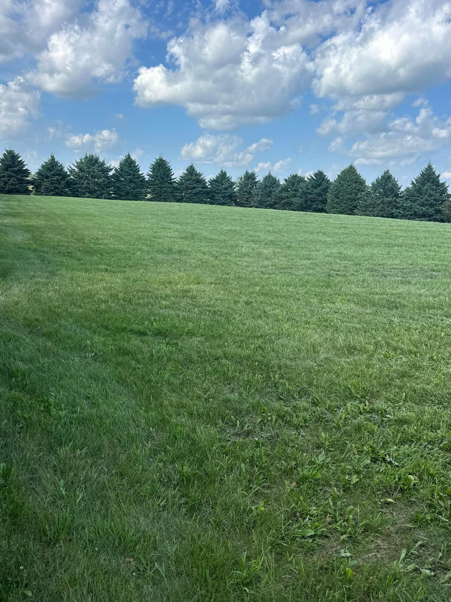 Tbd 227th Property Photo 8