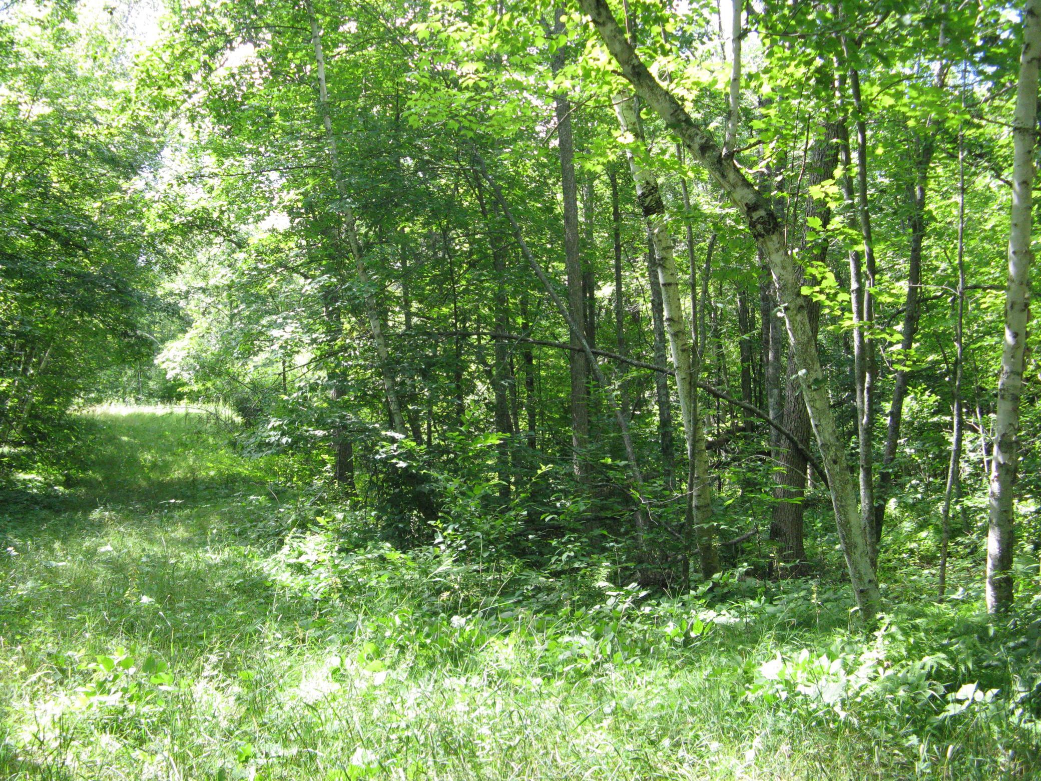 Tbd Alpine Circle Property Photo 2