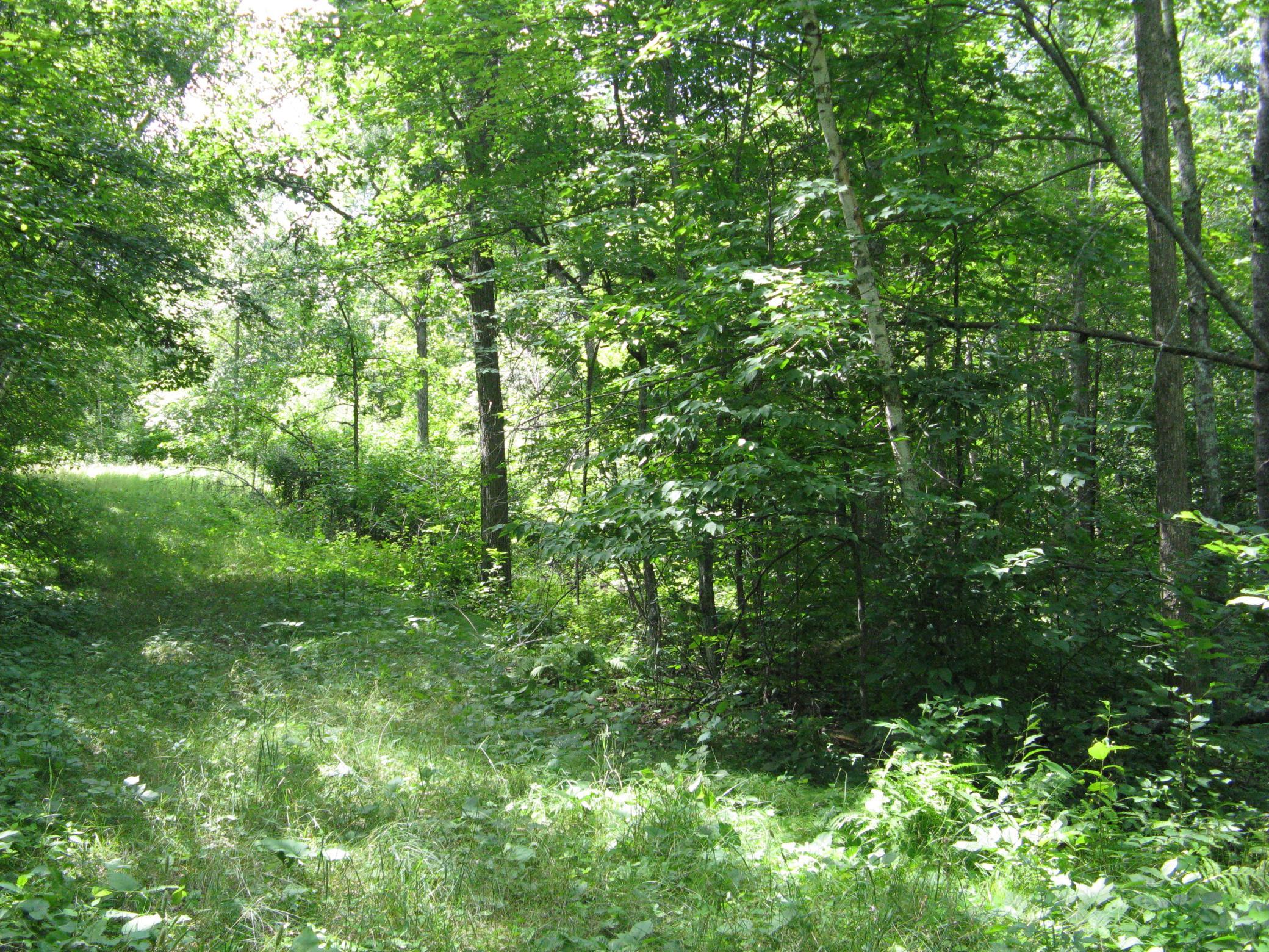 Tbd Alpine Circle Property Photo 3