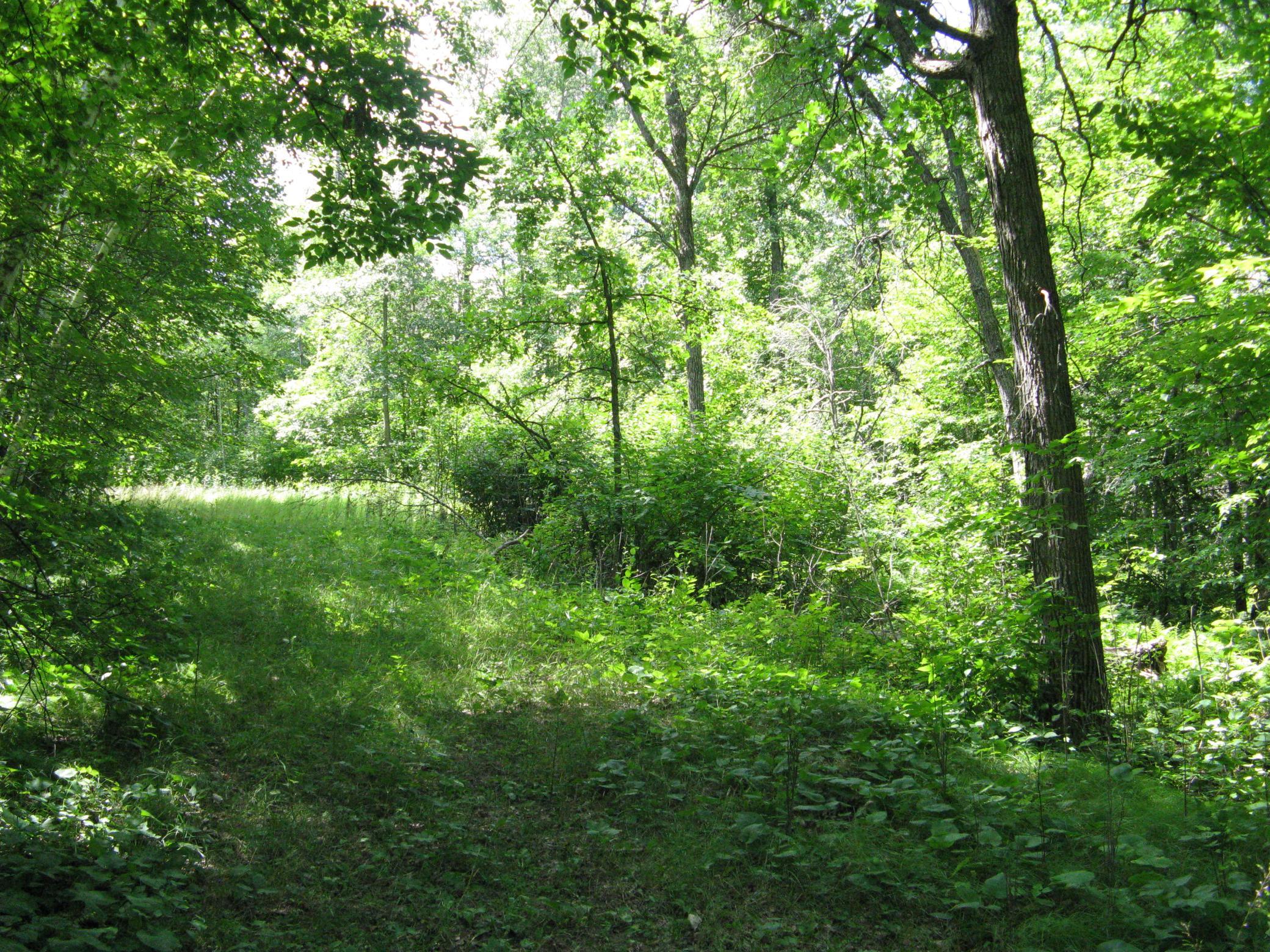Tbd Alpine Circle Property Photo 4