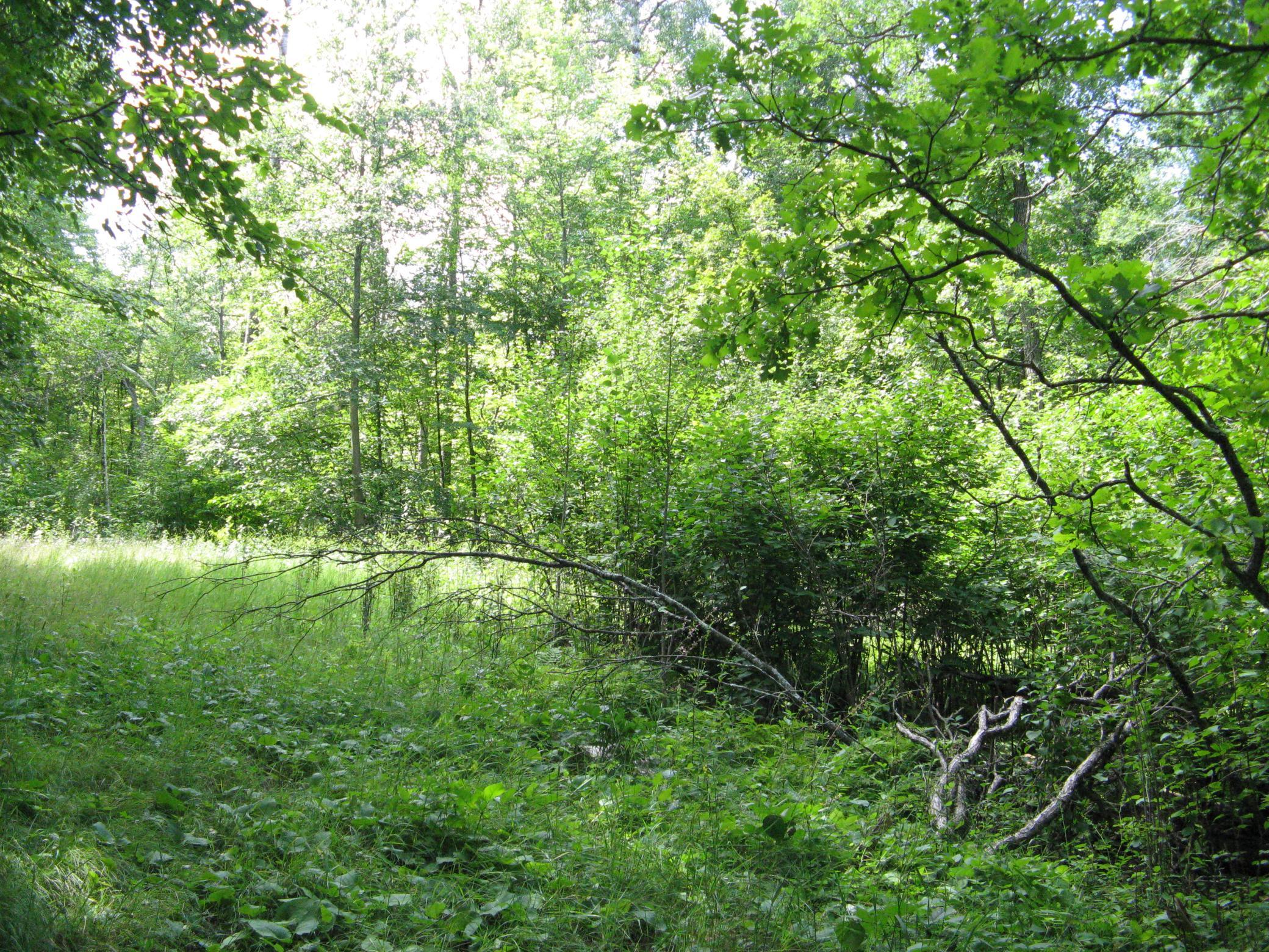 Tbd Alpine Circle Property Photo 5