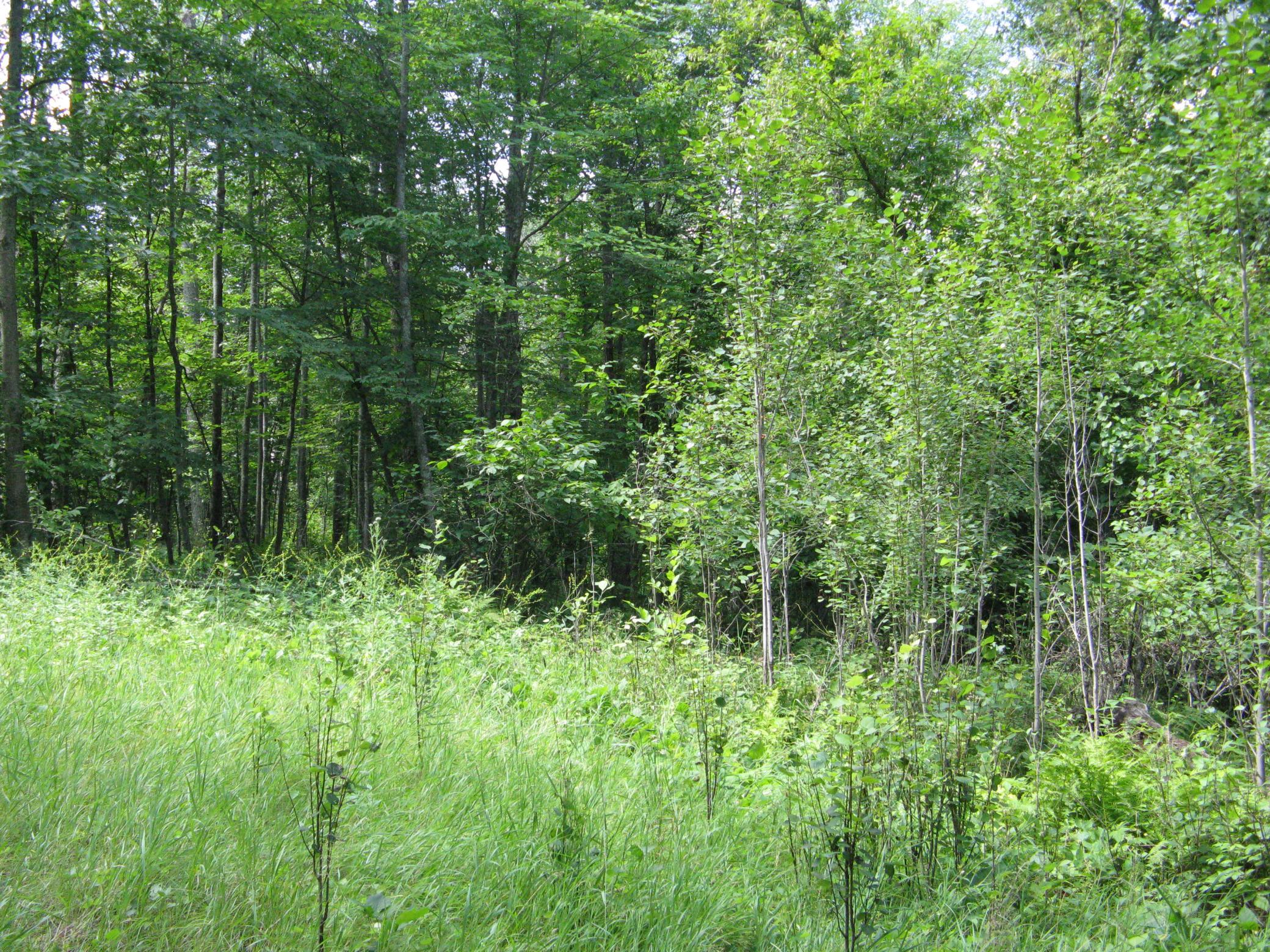 Tbd Alpine Circle Property Photo 6