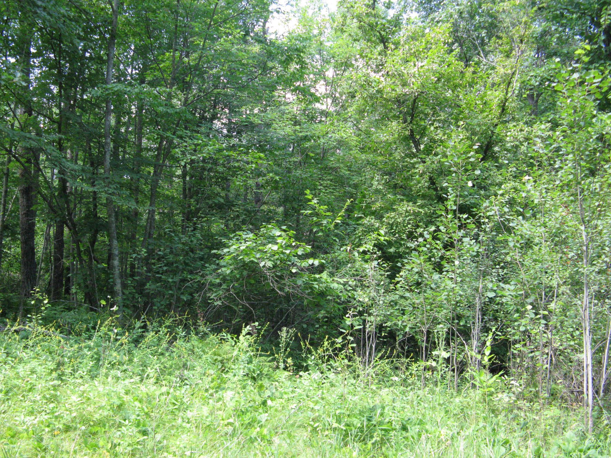 Tbd Alpine Circle Property Photo 7