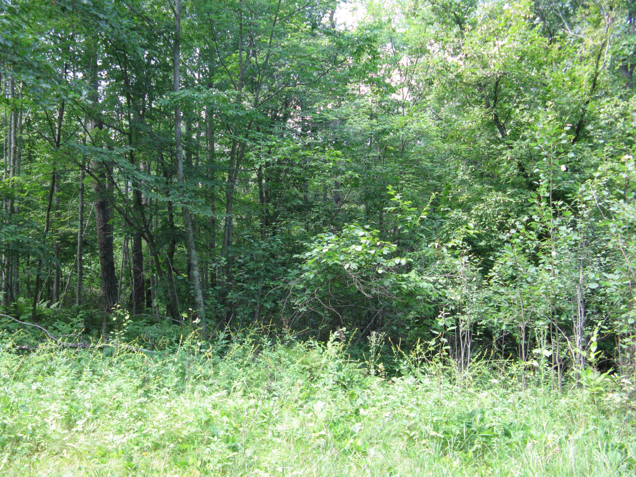 Tbd Alpine Circle Property Photo 8