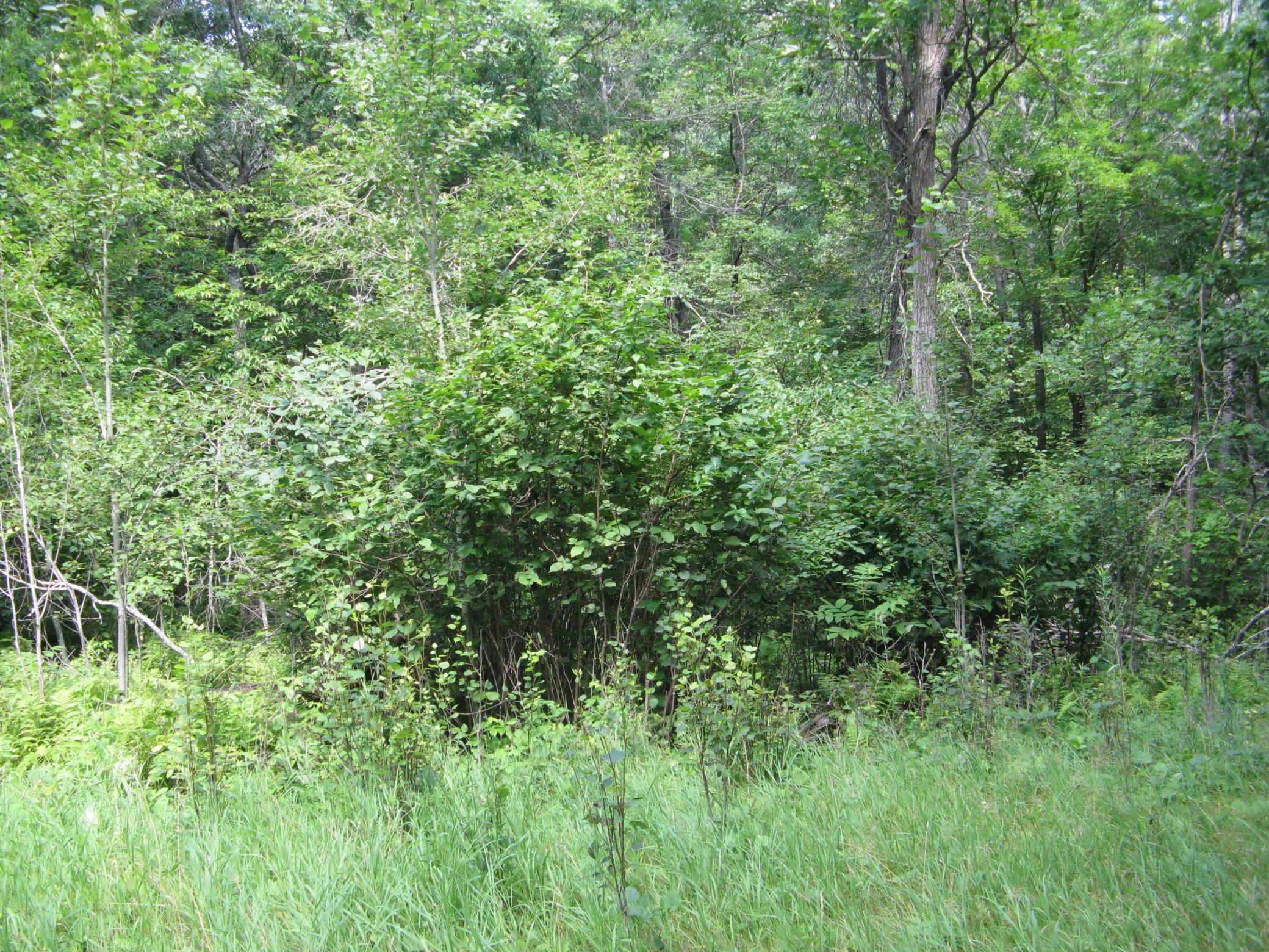 Tbd Alpine Circle Property Photo 9