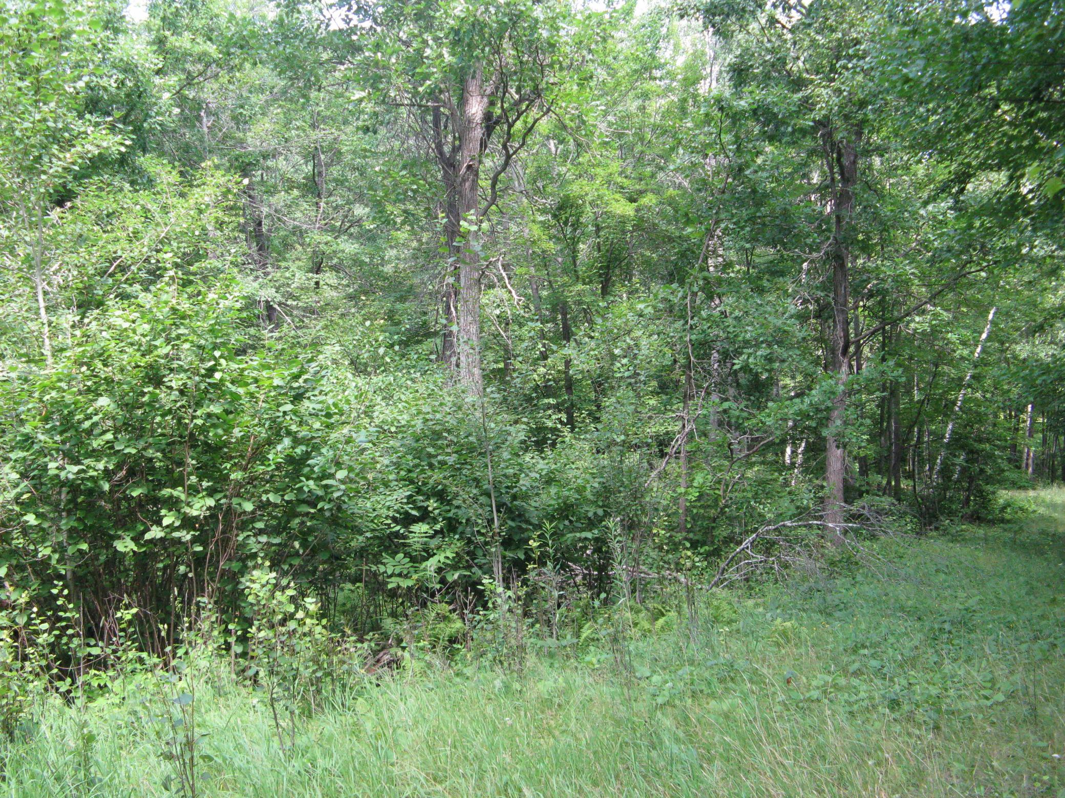 Tbd Alpine Circle Property Photo 10