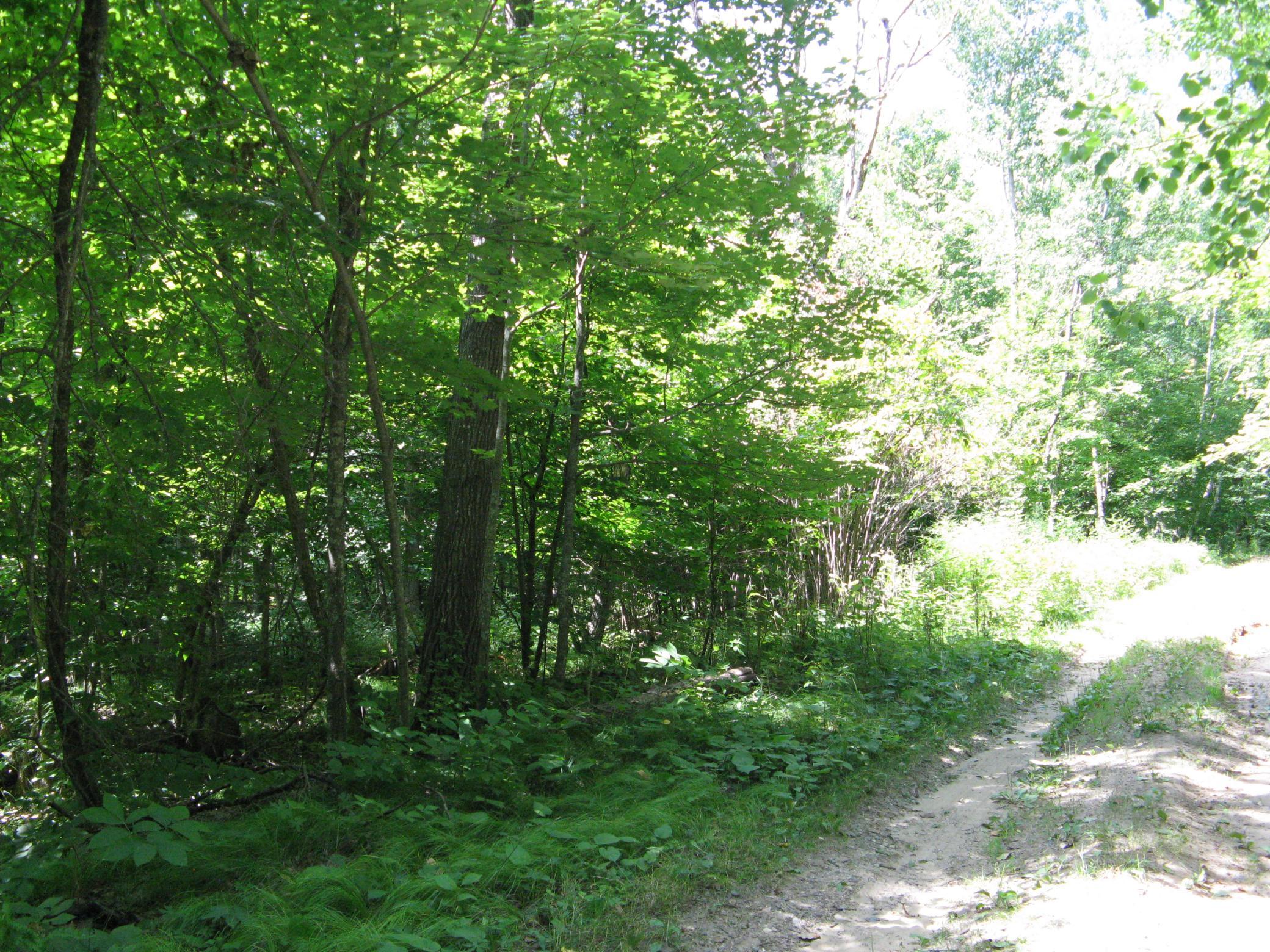Tbd Alpine Circle Property Photo 11