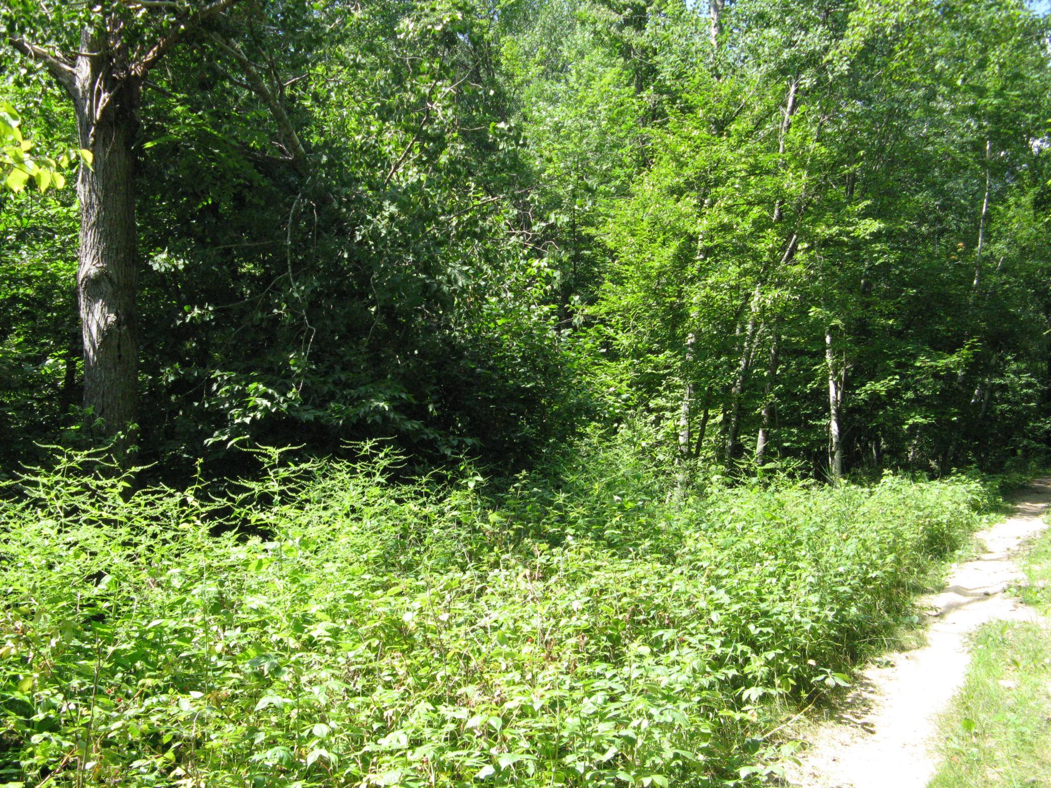 Tbd Alpine Circle Property Photo 12