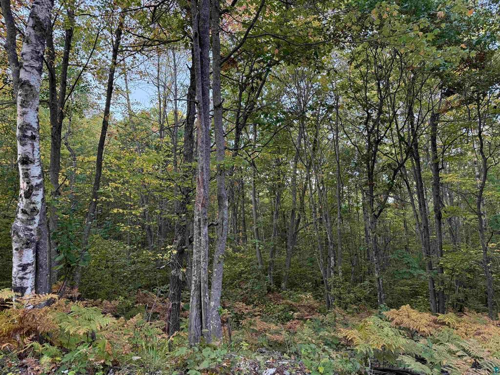 000 Hwy 2 Property Photo 1