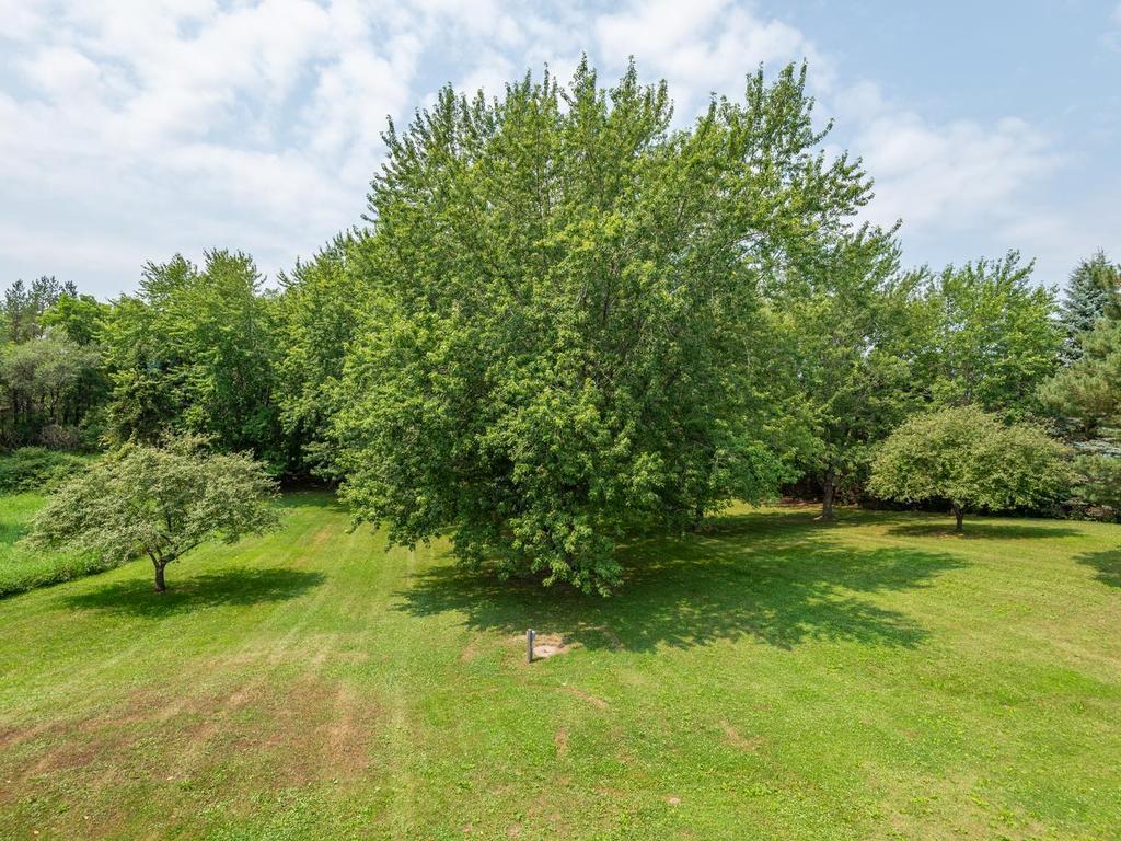 10125 Cain Road Property Photo 28