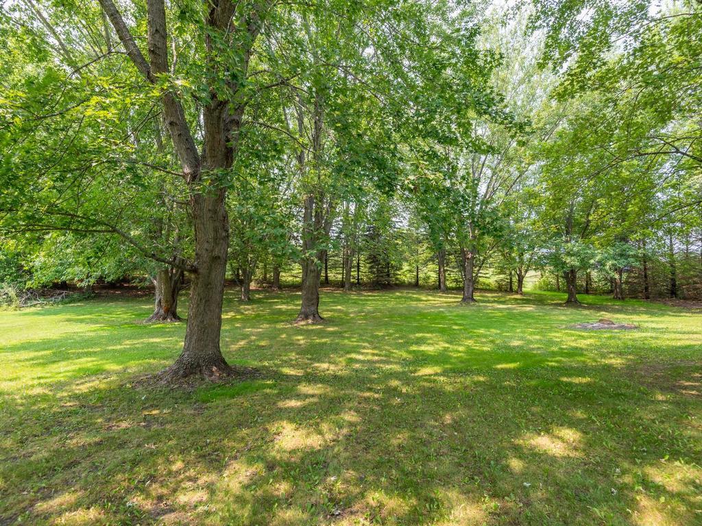 10125 Cain Road Property Photo 30
