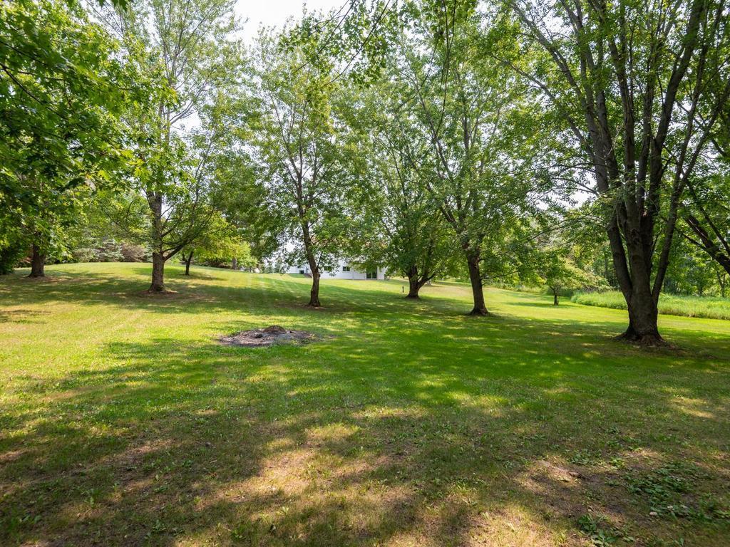 10125 Cain Road Property Photo 31
