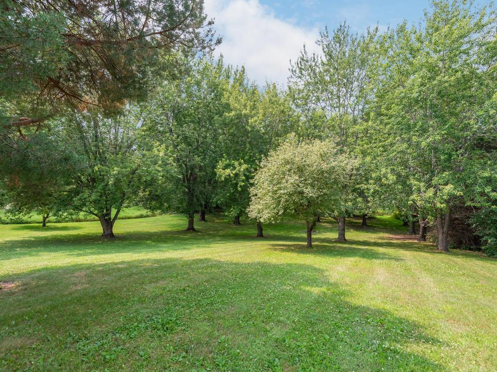 10125 Cain Road Property Photo 34