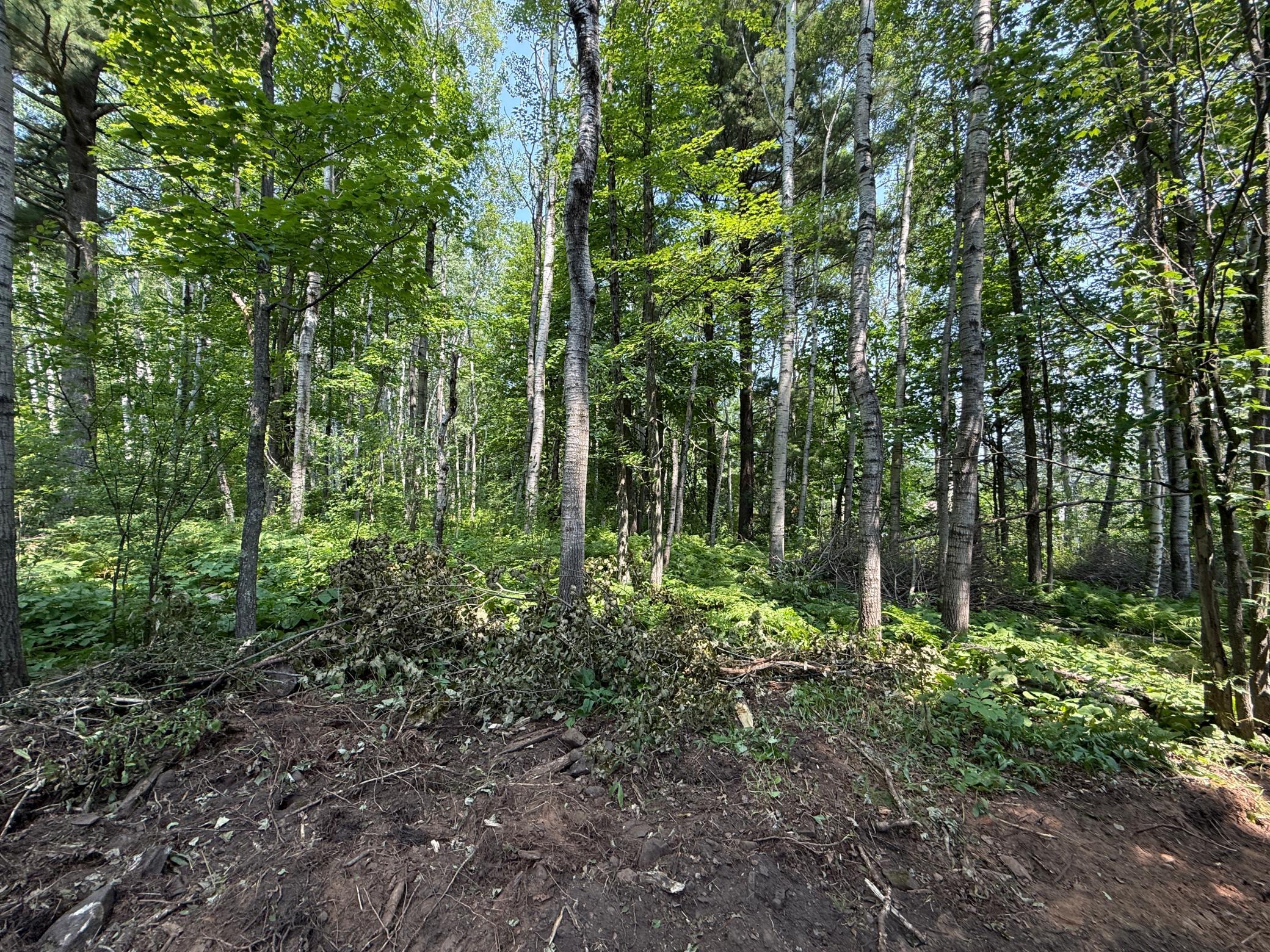 Tbd N 83rd Ave. W Property Photo 13
