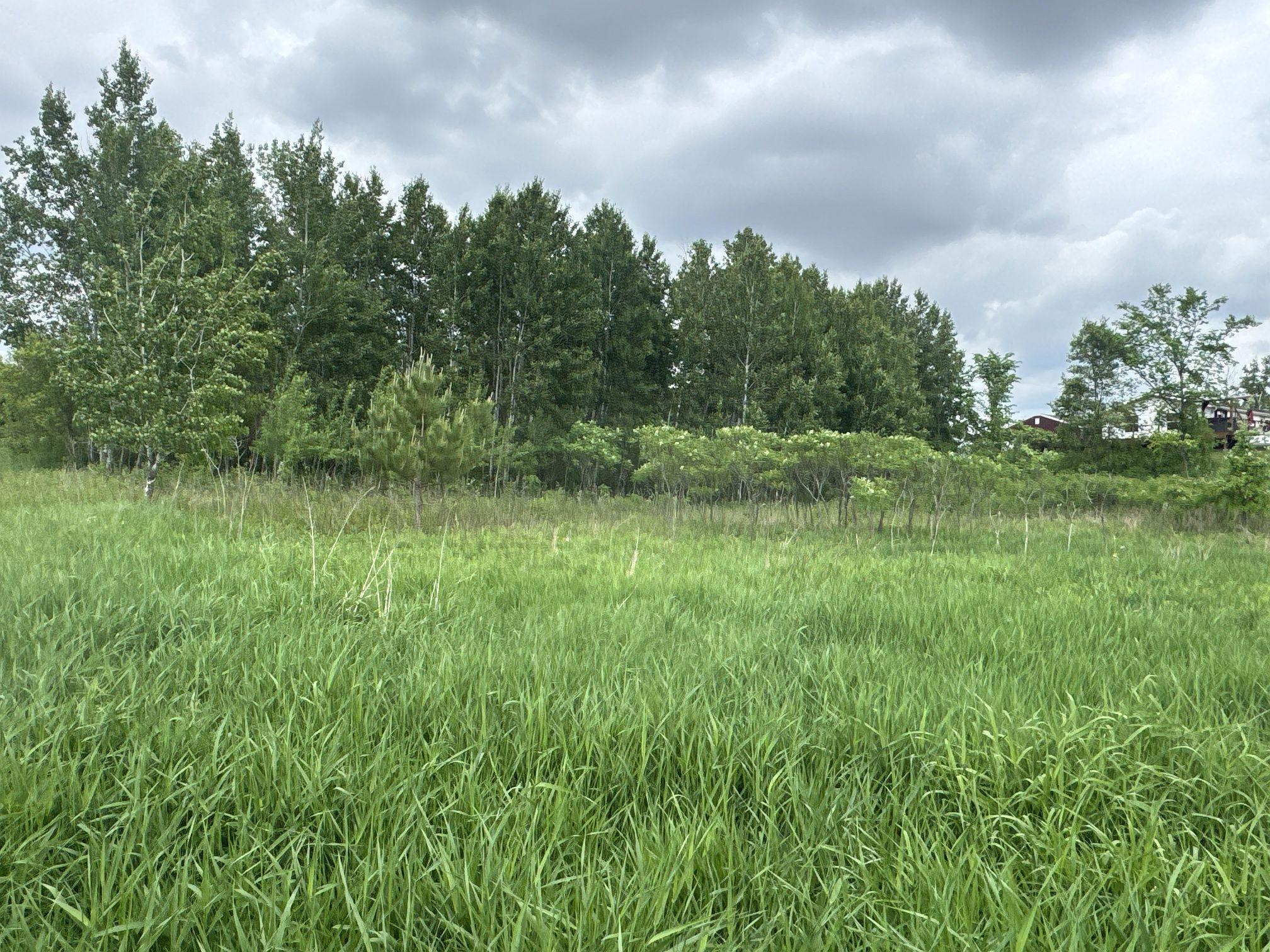 Tbd 10 1/2 Avenue Property Photo 9