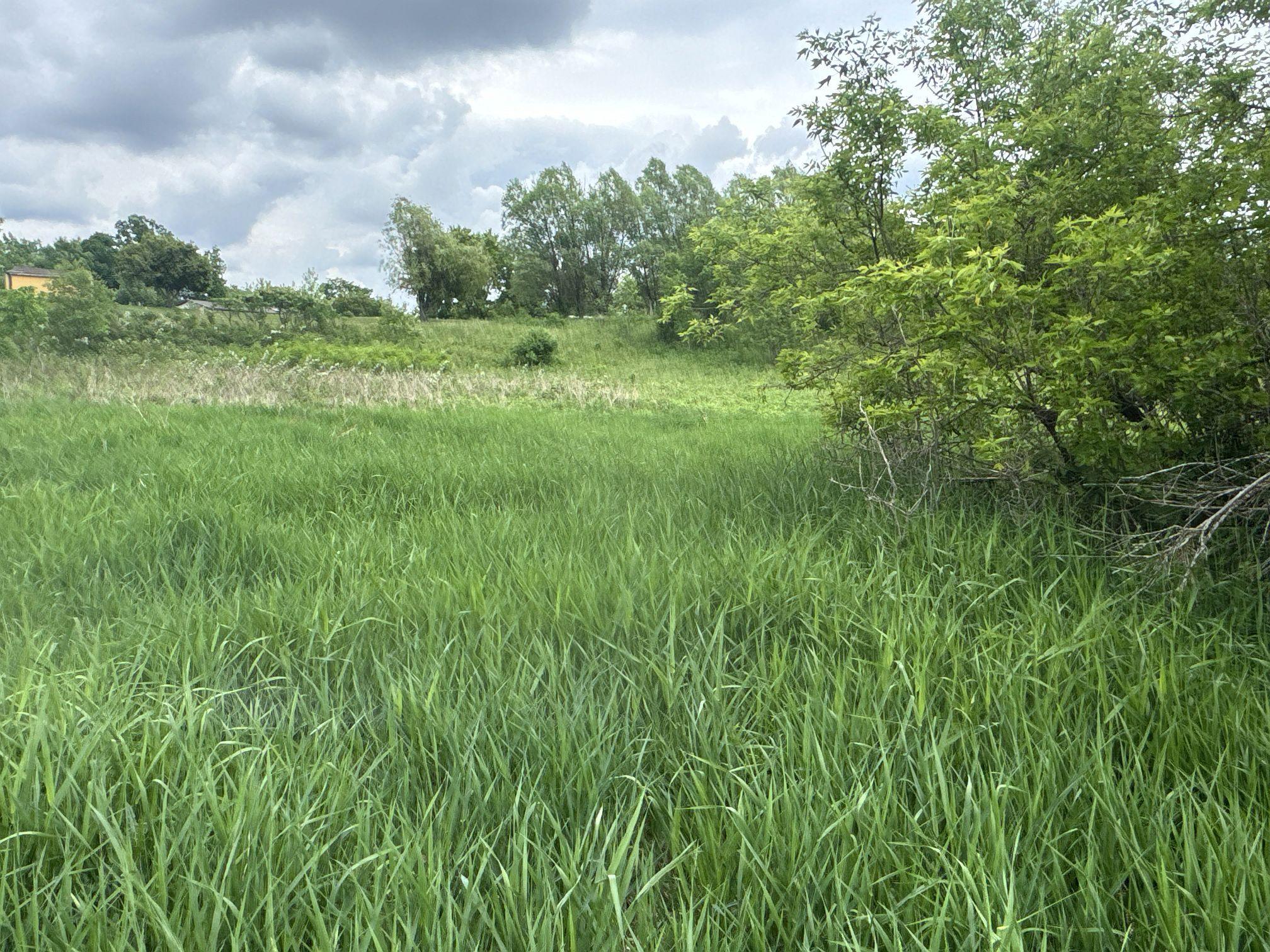 Tbd 10 1/2 Avenue Property Photo 11