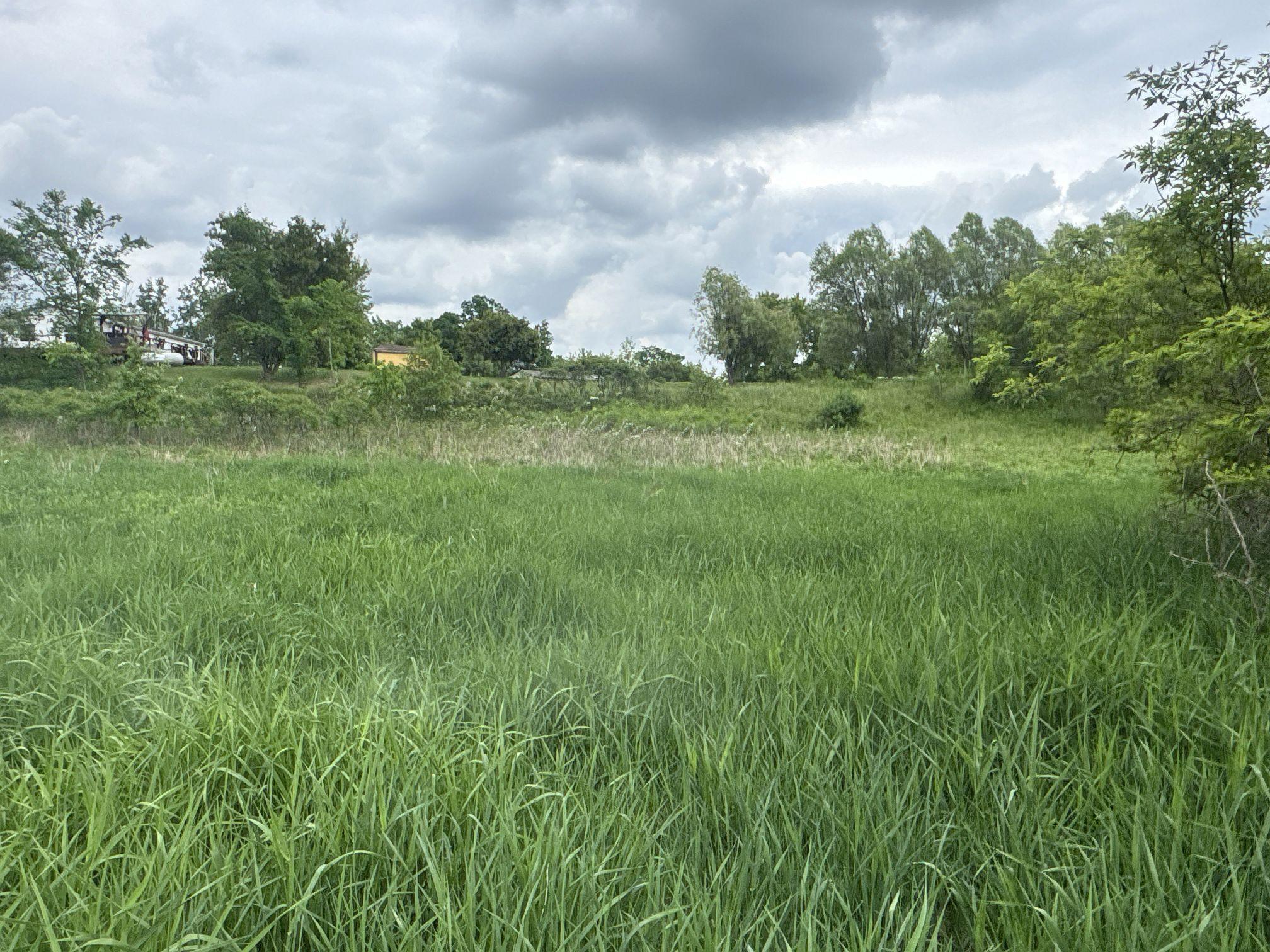 Tbd 10 1/2 Avenue Property Photo 12