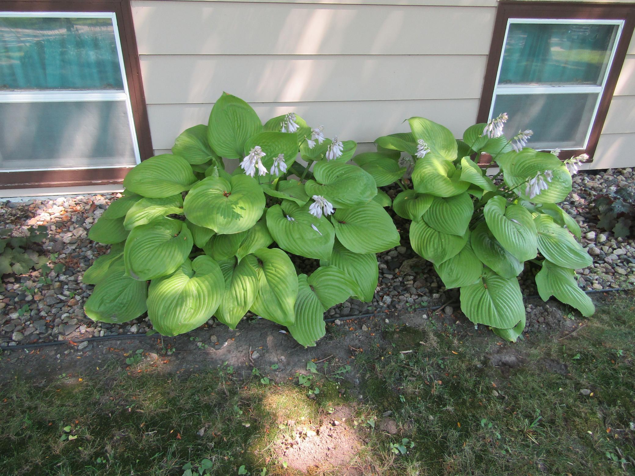 1646 N 5th Street Property Photo 59