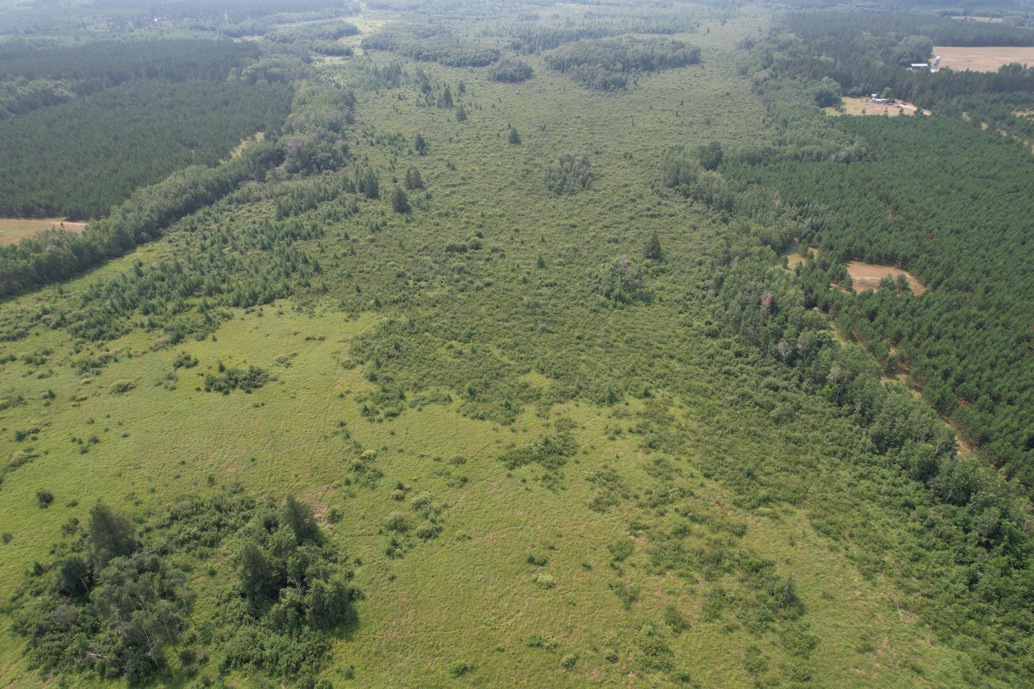 Tbd Co Rd 7 Property Photo 7