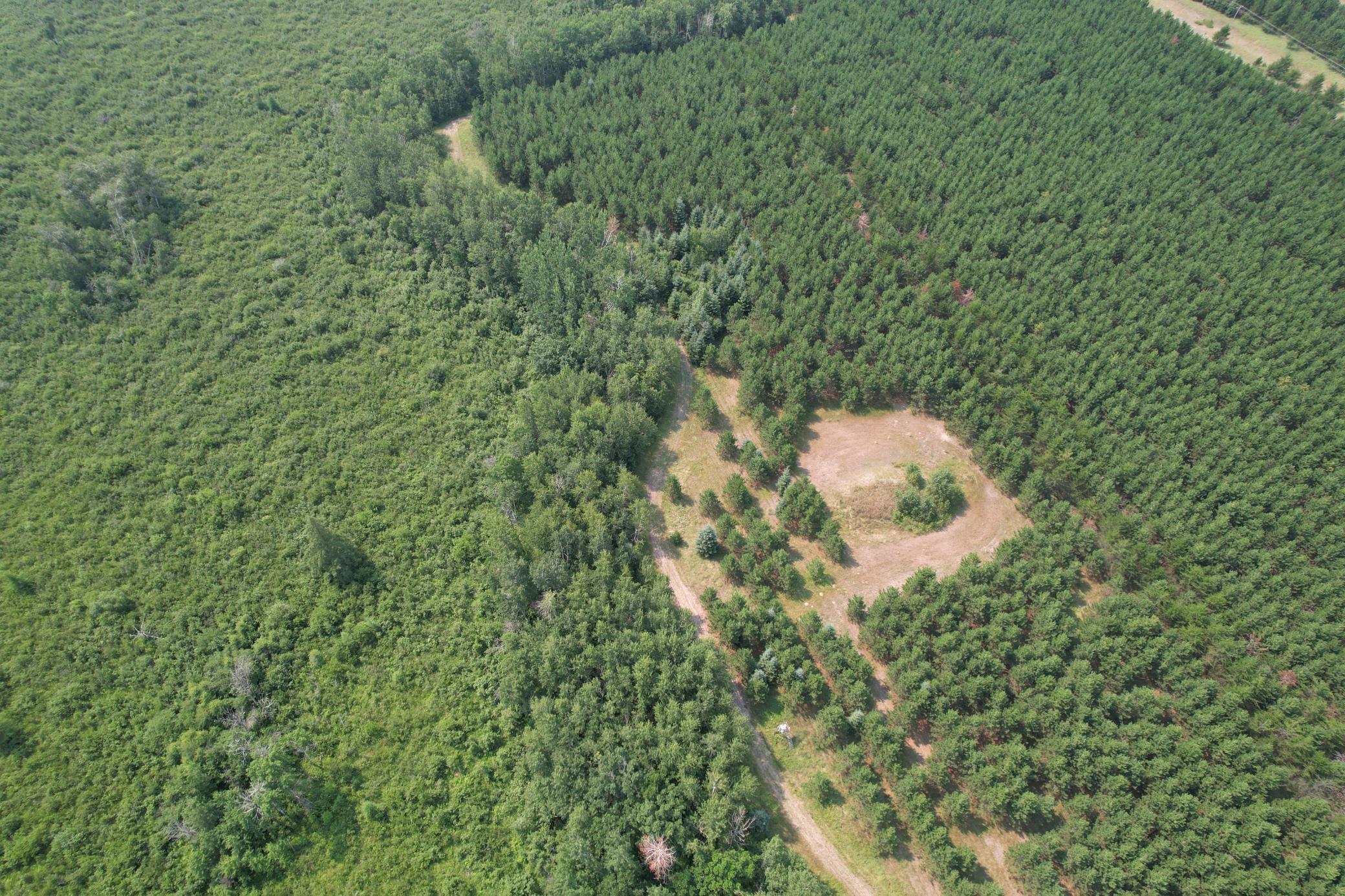 Tbd Co Rd 7 Property Photo 8