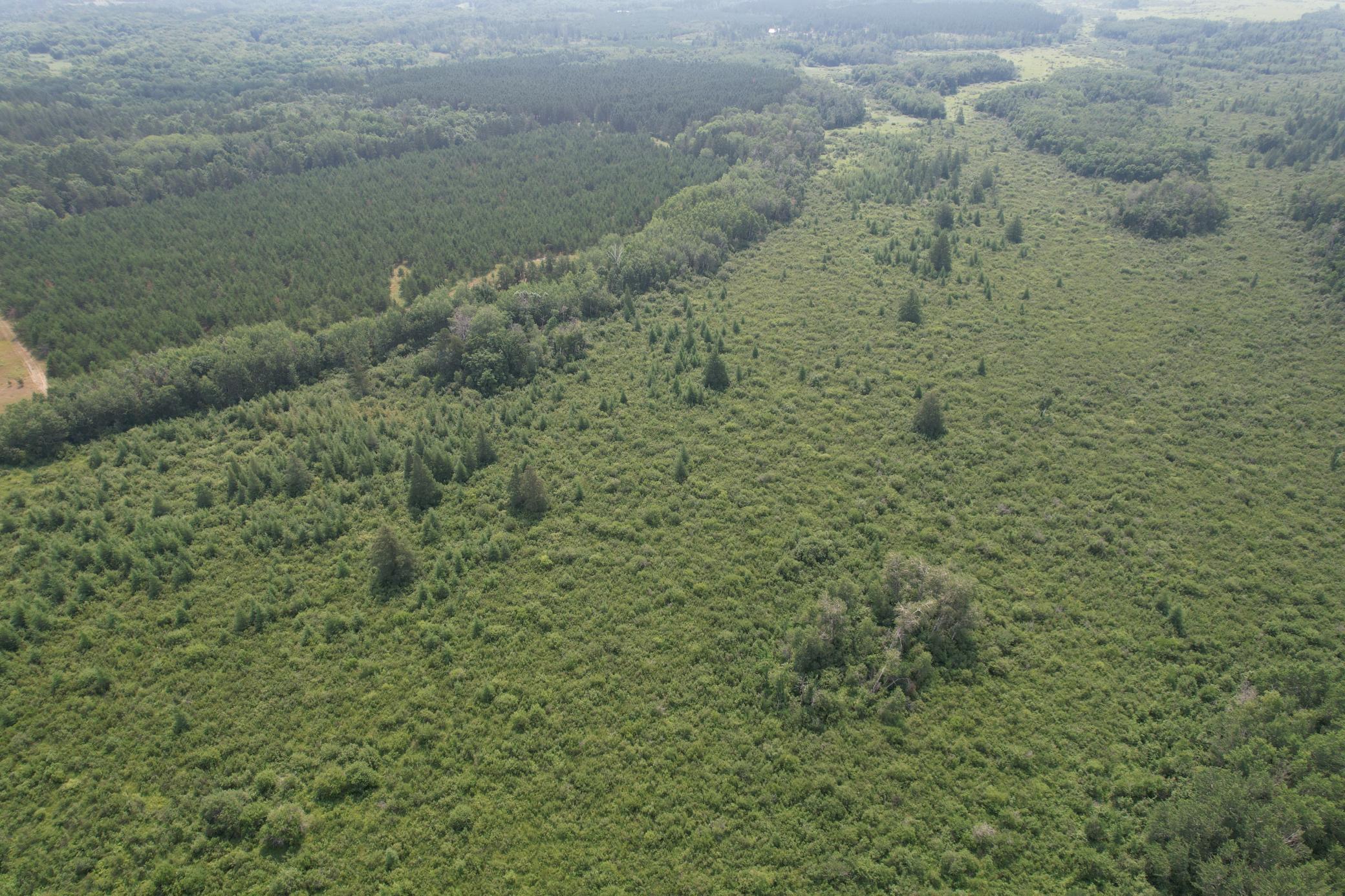 Tbd Co Rd 7 Property Photo 9