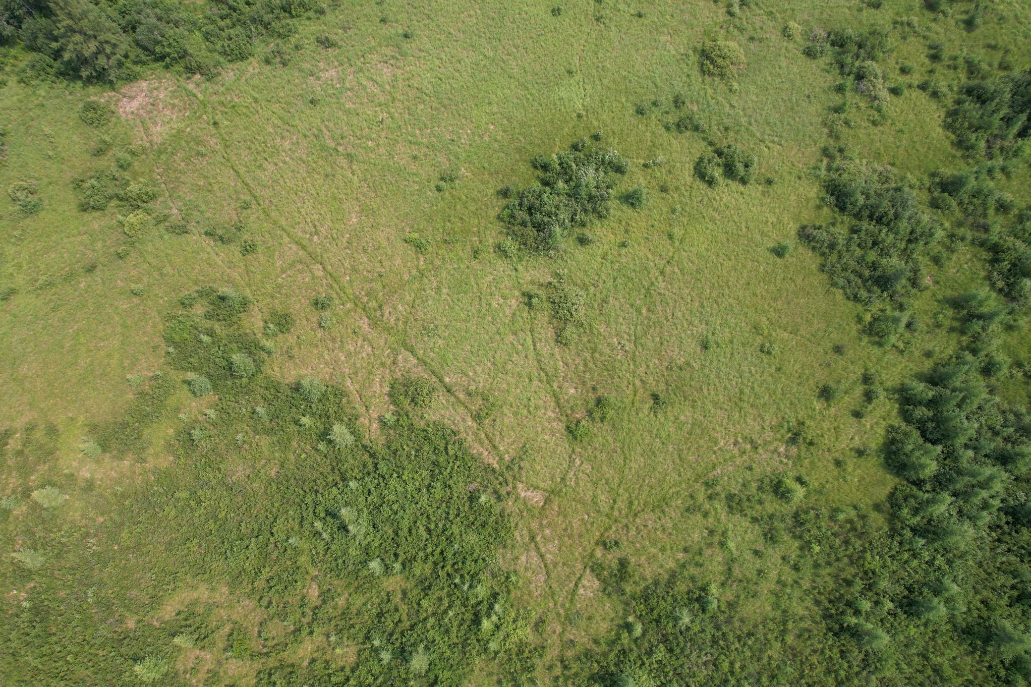 Tbd Co Rd 7 Property Photo 10
