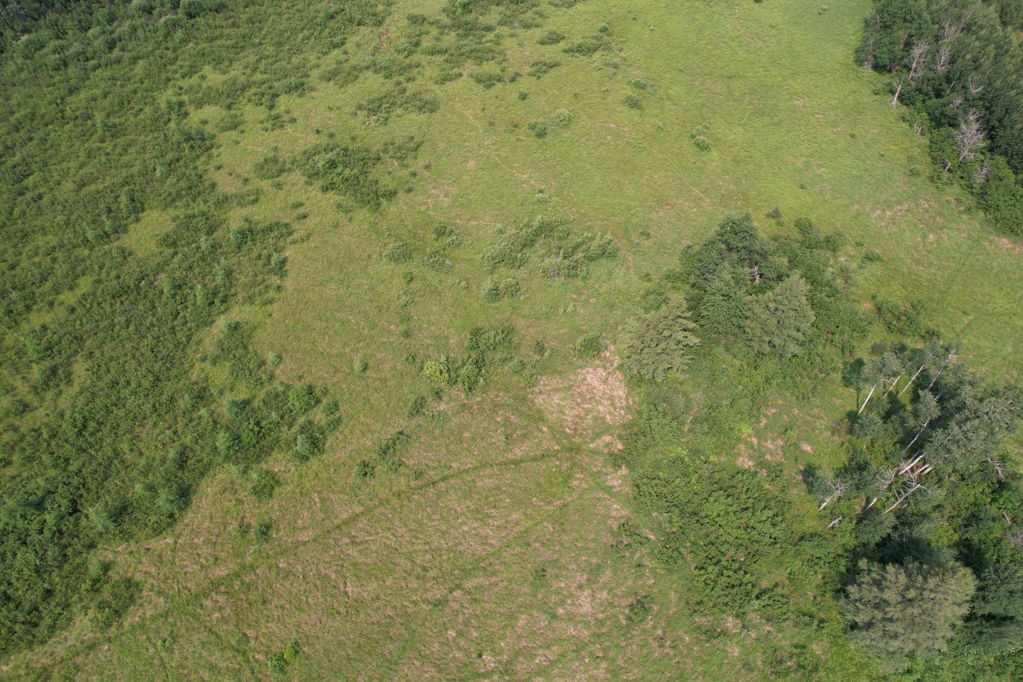 Tbd Co Rd 7 Property Photo 11